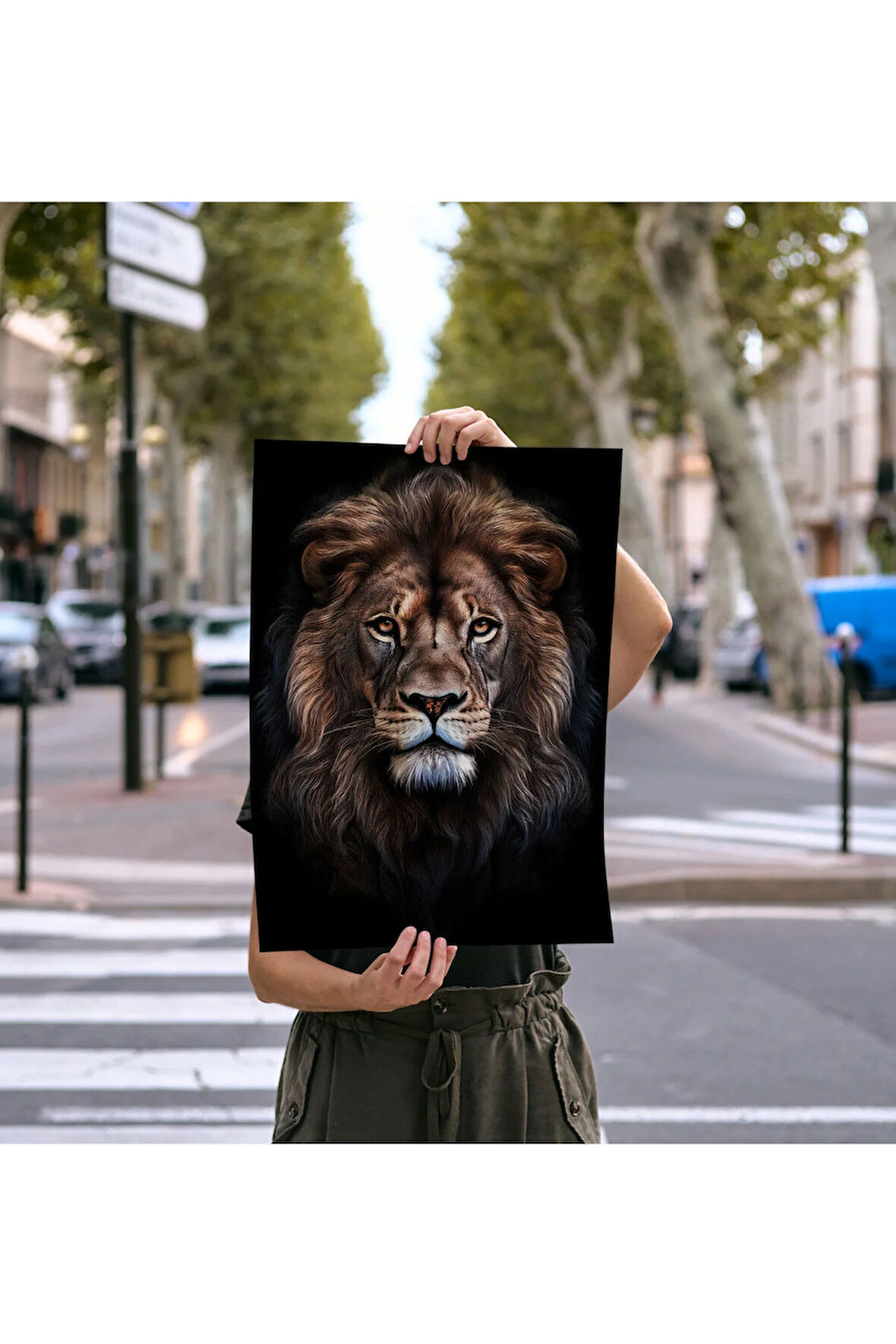 Çerçevesiz Poster - Dijital Baskı - Aslan