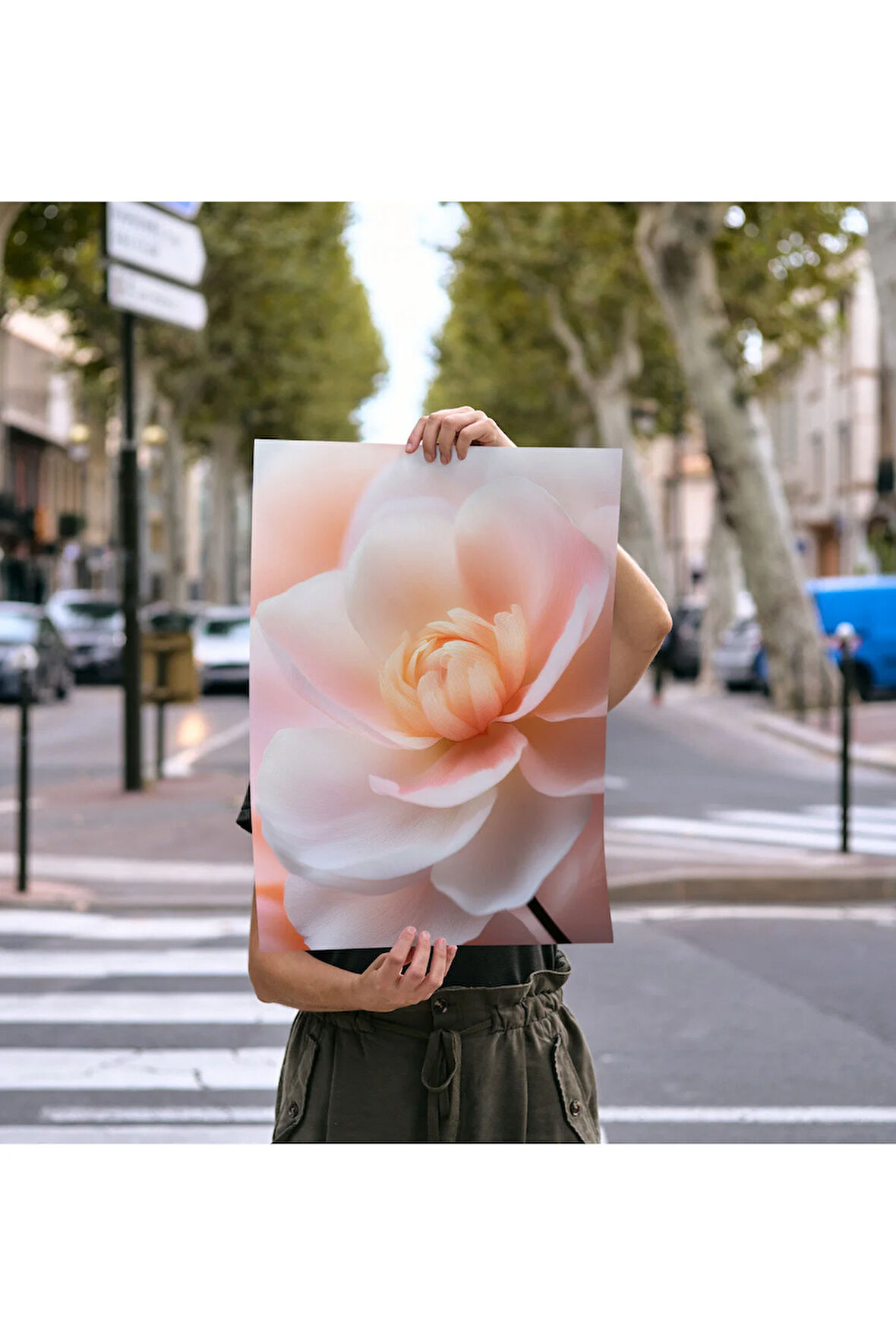 Çerçevesiz Poster, Dijital Baskı, Pembe Çiçek, Klasik ,Modern , Soyut , Minimalist Poster