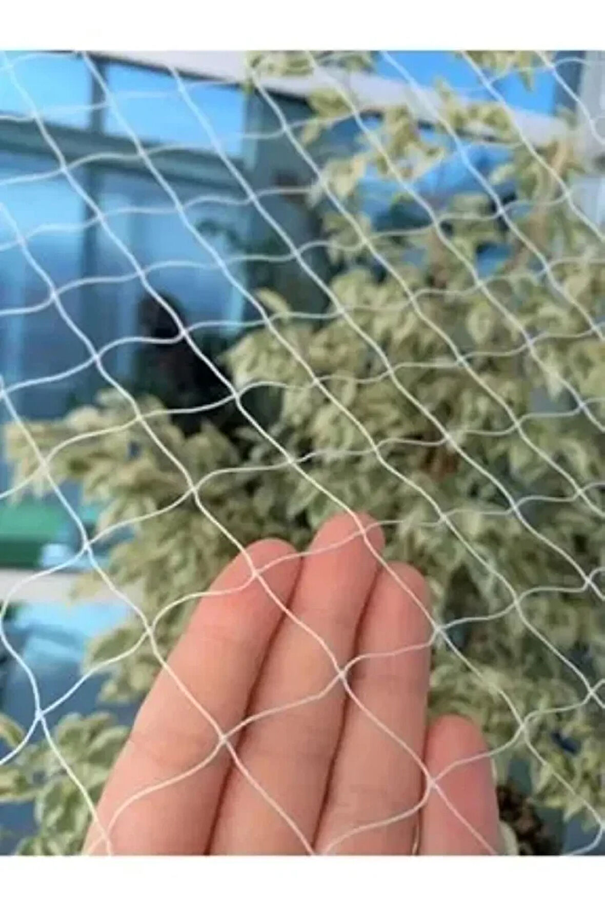 KUŞ ÖNLEME AĞI KUŞ FİLESİ BALKON FİLESİ 2,50 X 11 METRE MONTAJ MAĞZEMELİ