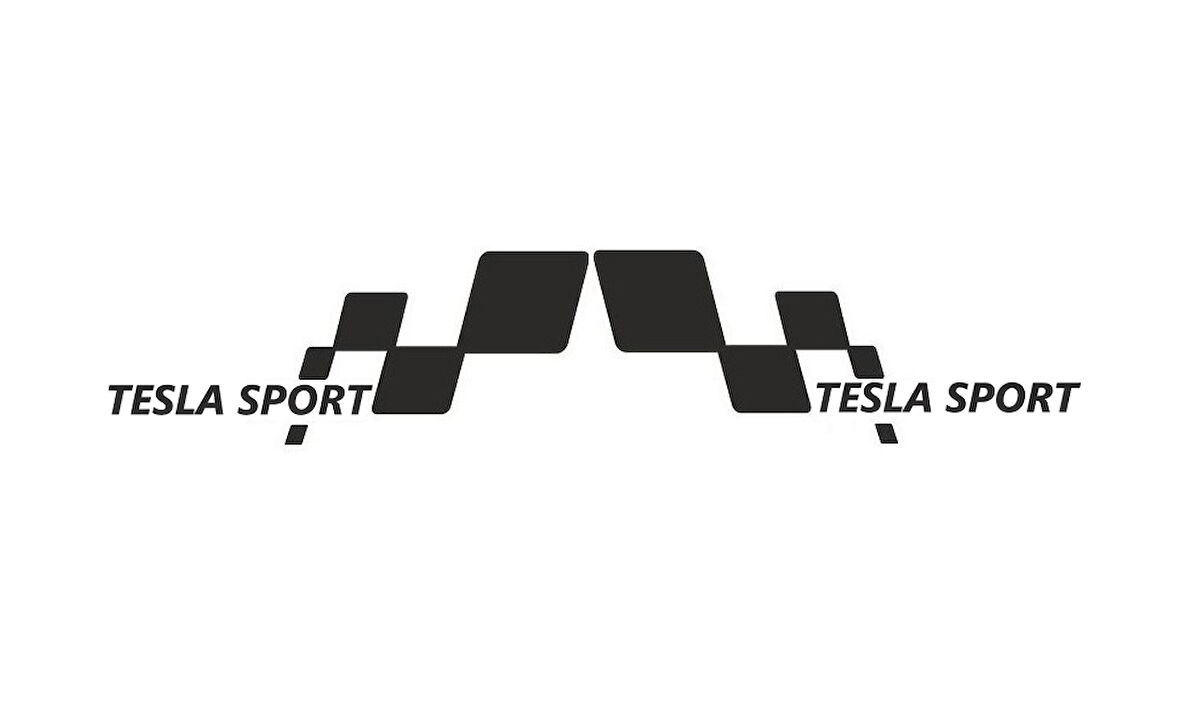 Tesla Yan Sport Sticker 28 x 13 cm