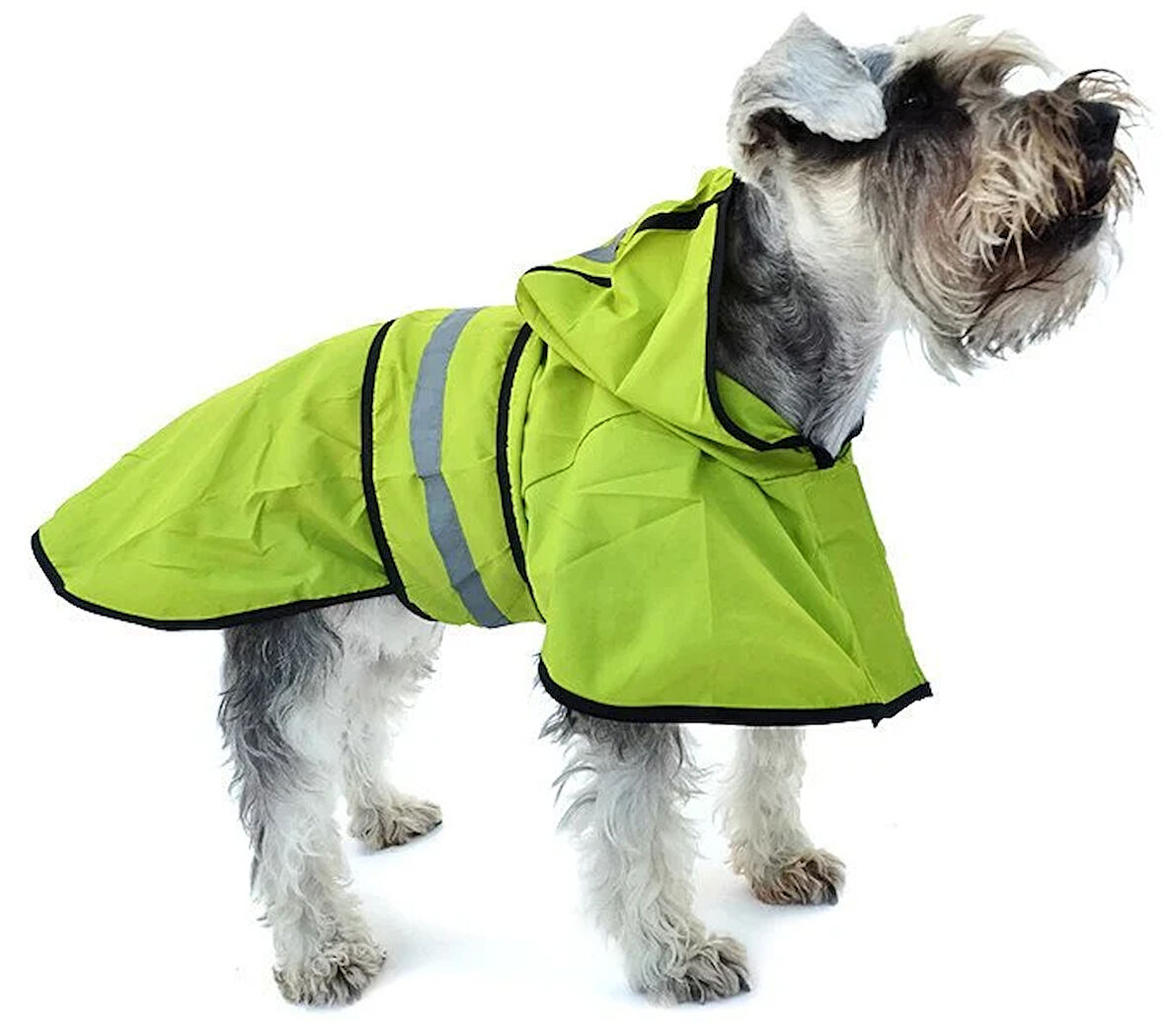 Köpek Küçük ve Orta Irk Yağmurluk Ekon Yeşil