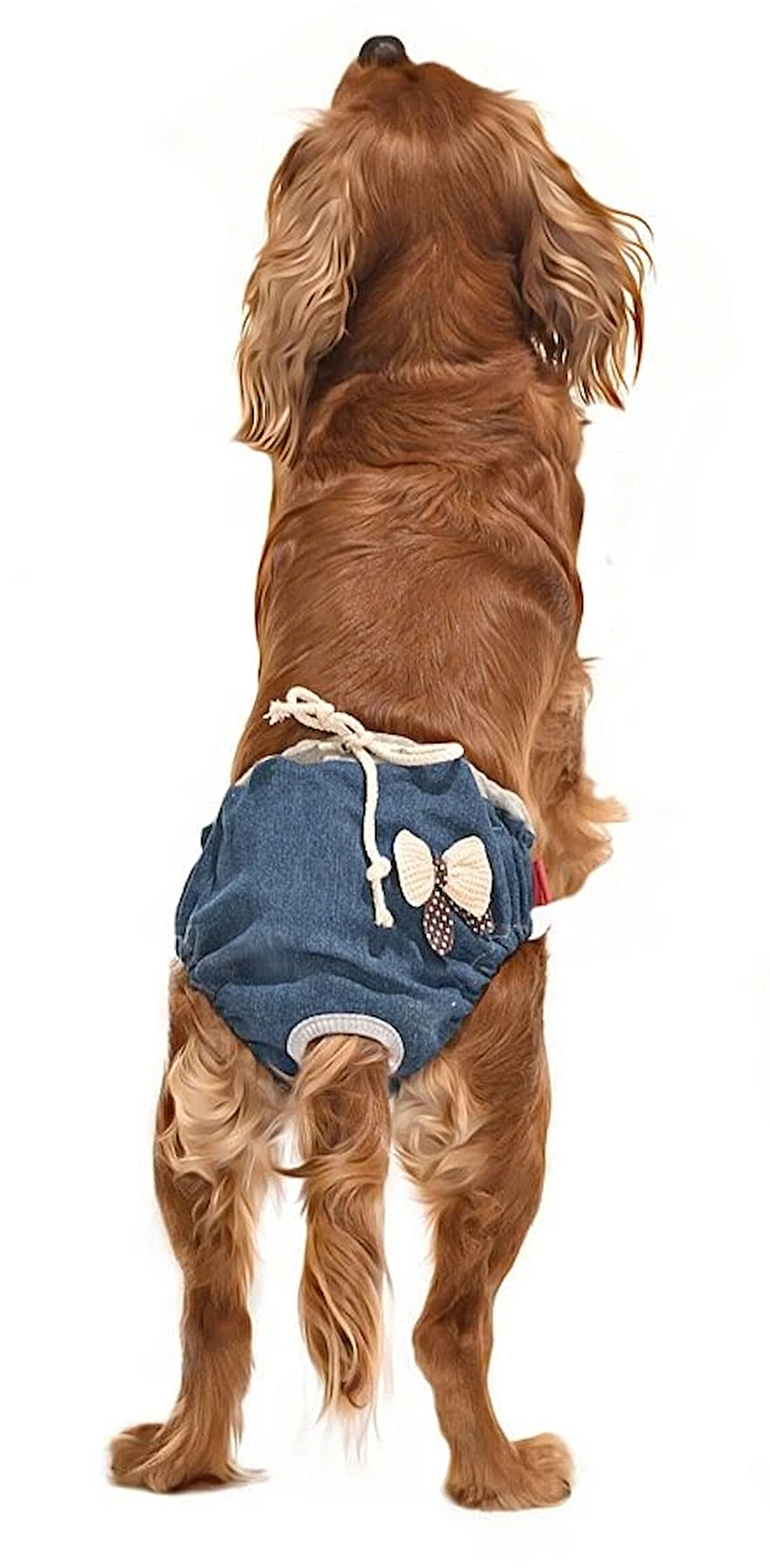 Köpek Külot - Özel Günler için Çıkarılamaz Çamaşır Denim