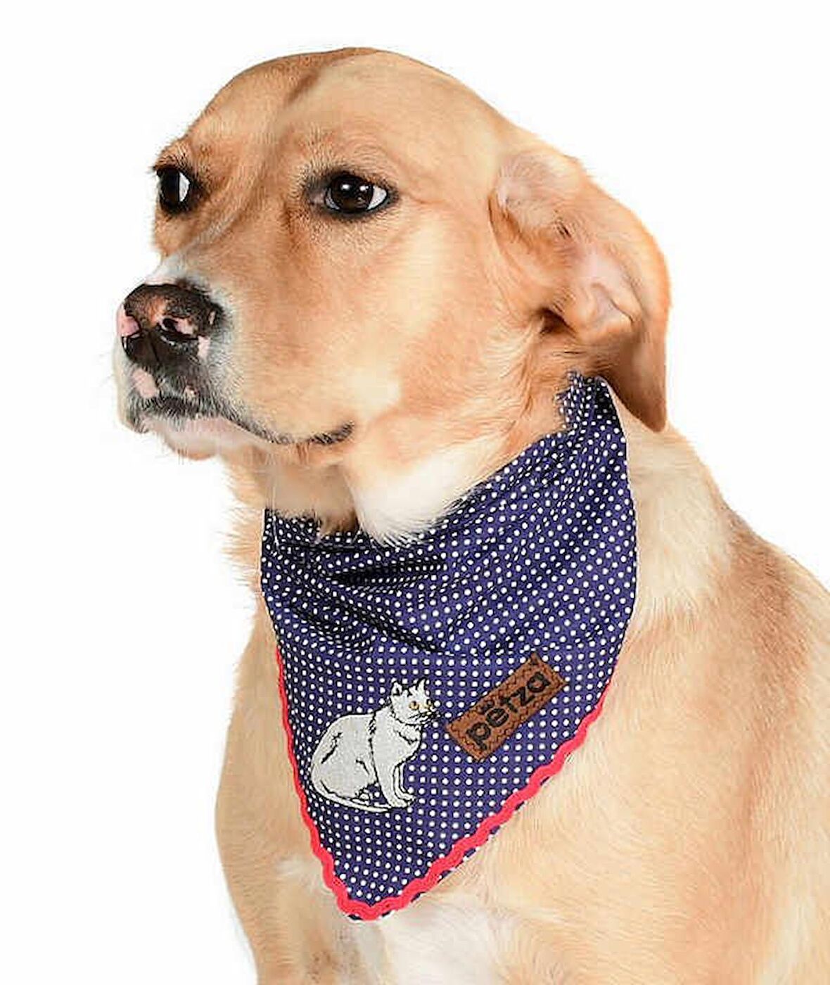 Köpek Bandana / Riot