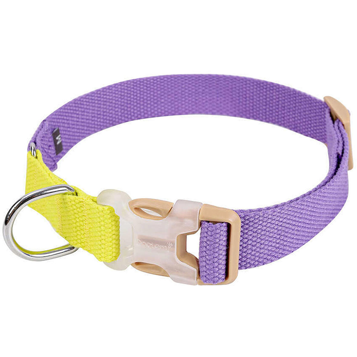 Köpek Boyun Tasması Genie