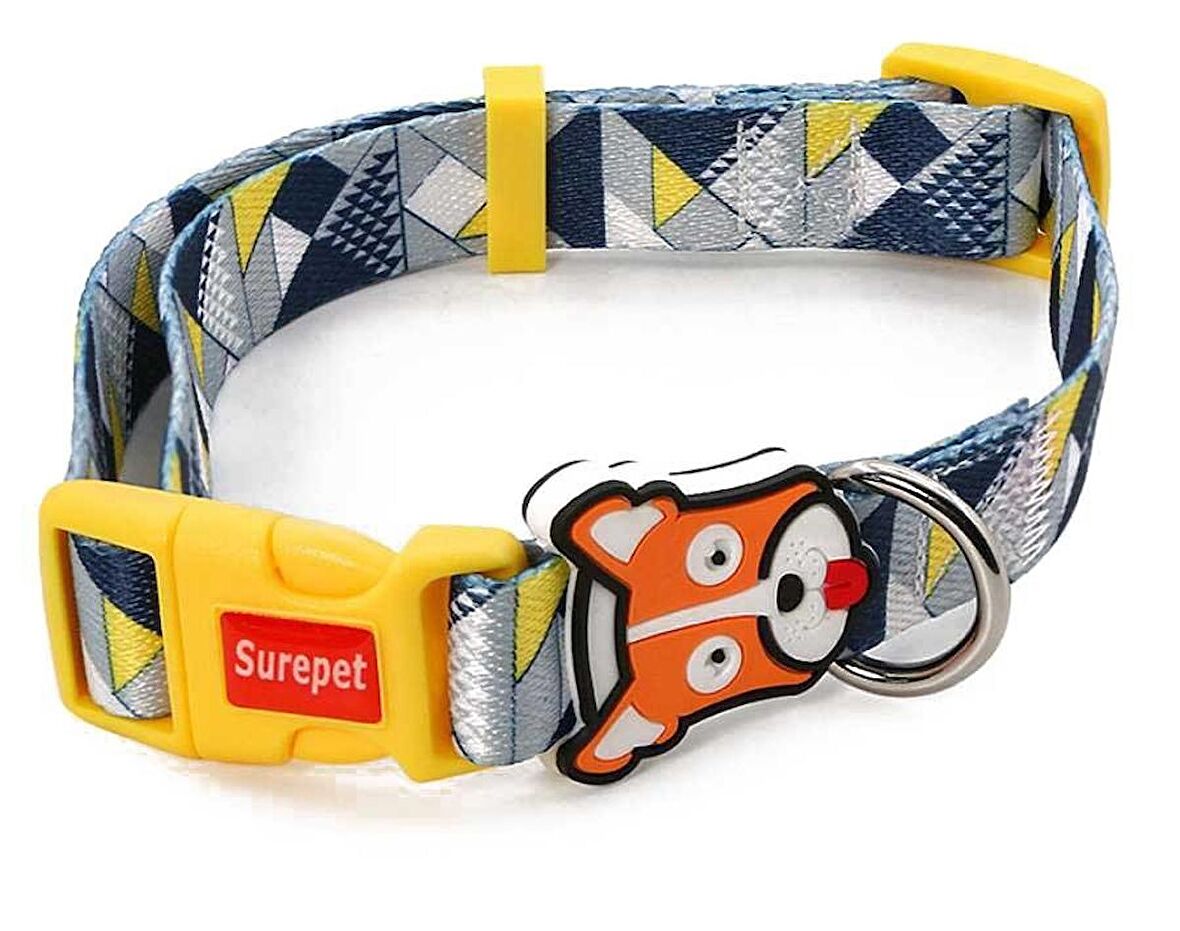 Köpek Boyun Tasması Remus