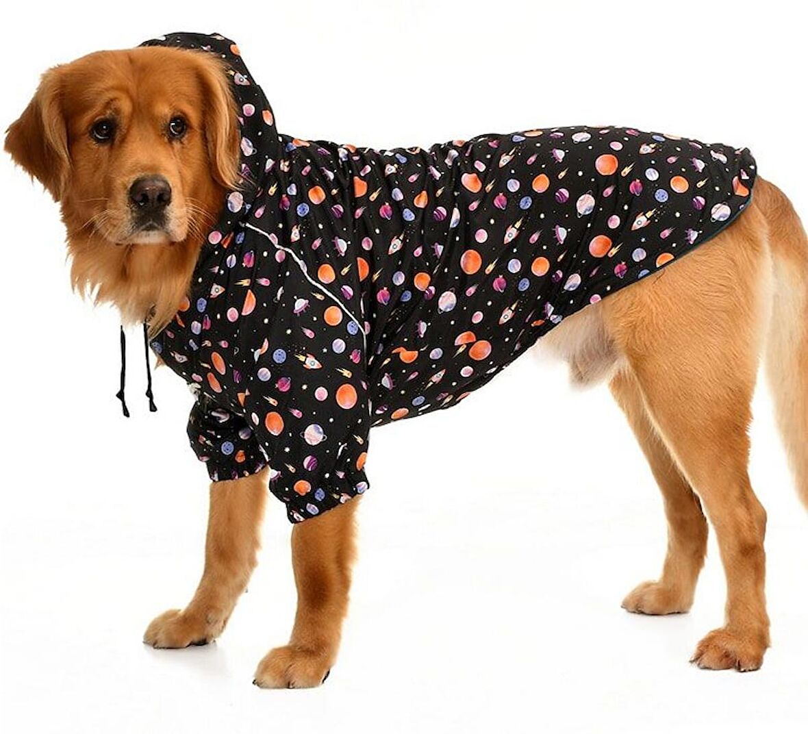 Orta ve Büyük Irk Köpek Yağmurluk - Rajah