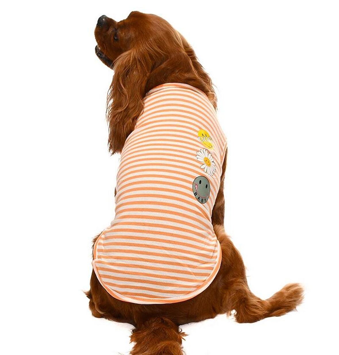 Küçük ve Orta Irk Köpek T-shirt Stina