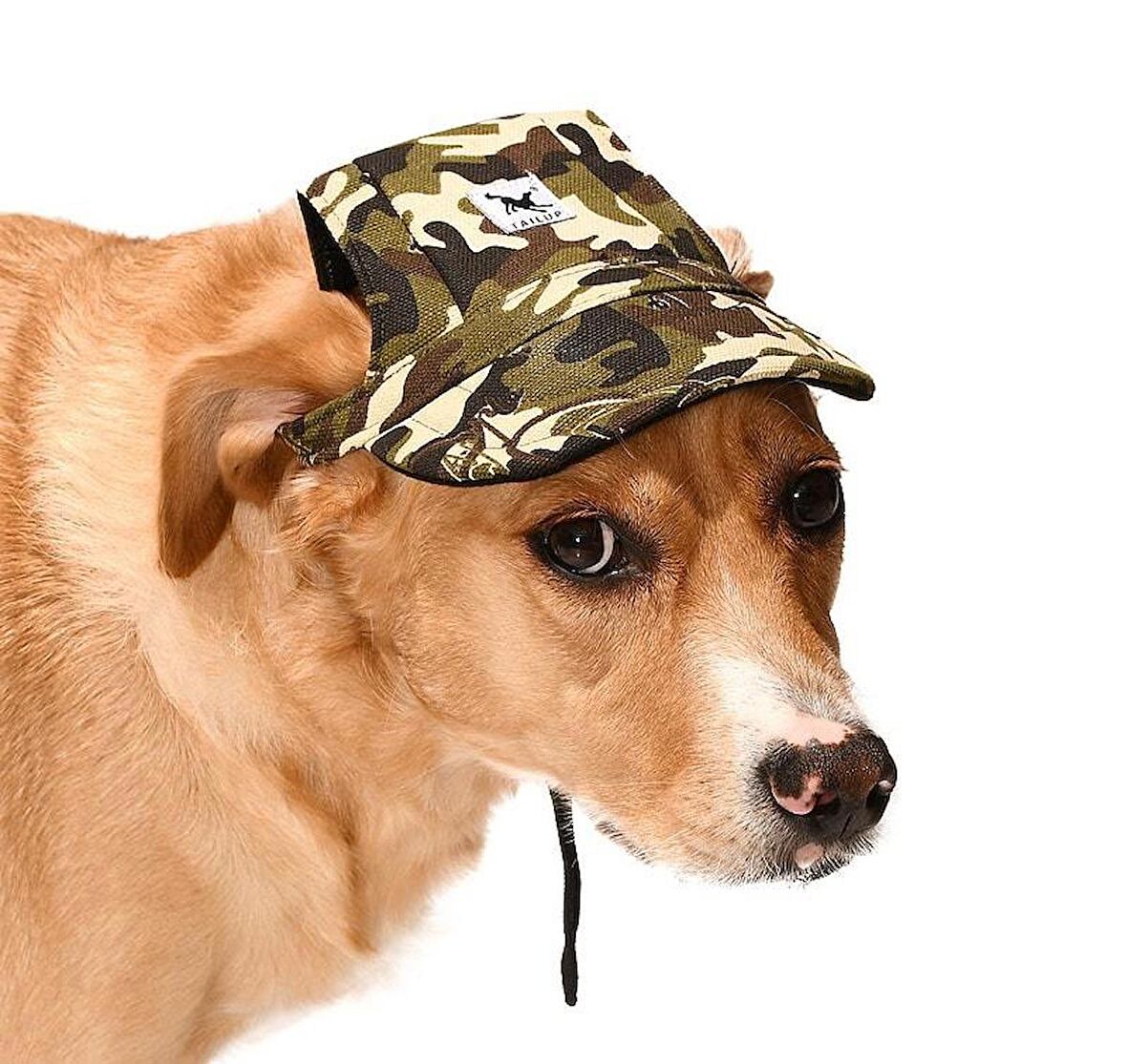 Küçük ve Orta Irk Köpekler için Şapka Camo