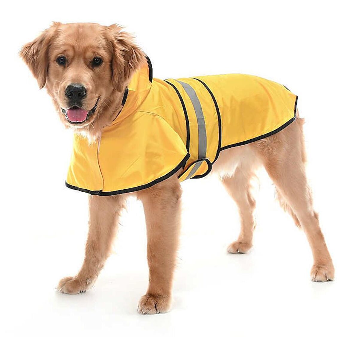 Köpek Büyük ve Orta Irk Yağmurluk Ekon Sarı
