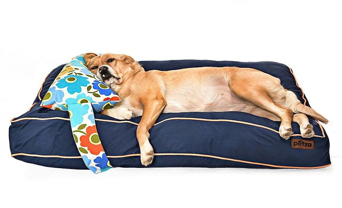 Petza Nyota L Üstü Açık - Yastıklı Çift Taraflı - Fermuarlı Lacivert Büyük - Orta Irk Köpek Yatağı