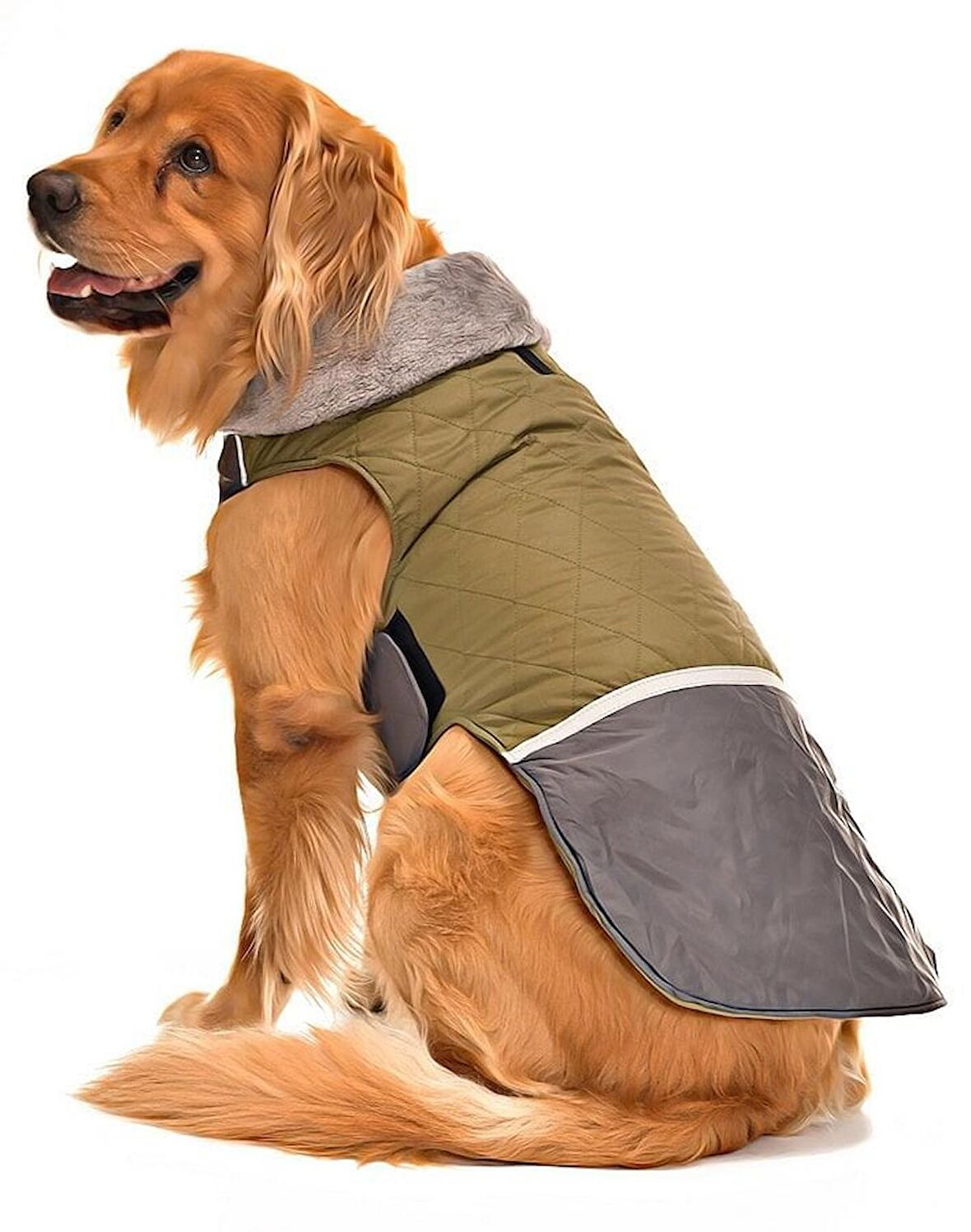 Orta ve Büyük Irk Köpek Mont - Hidra