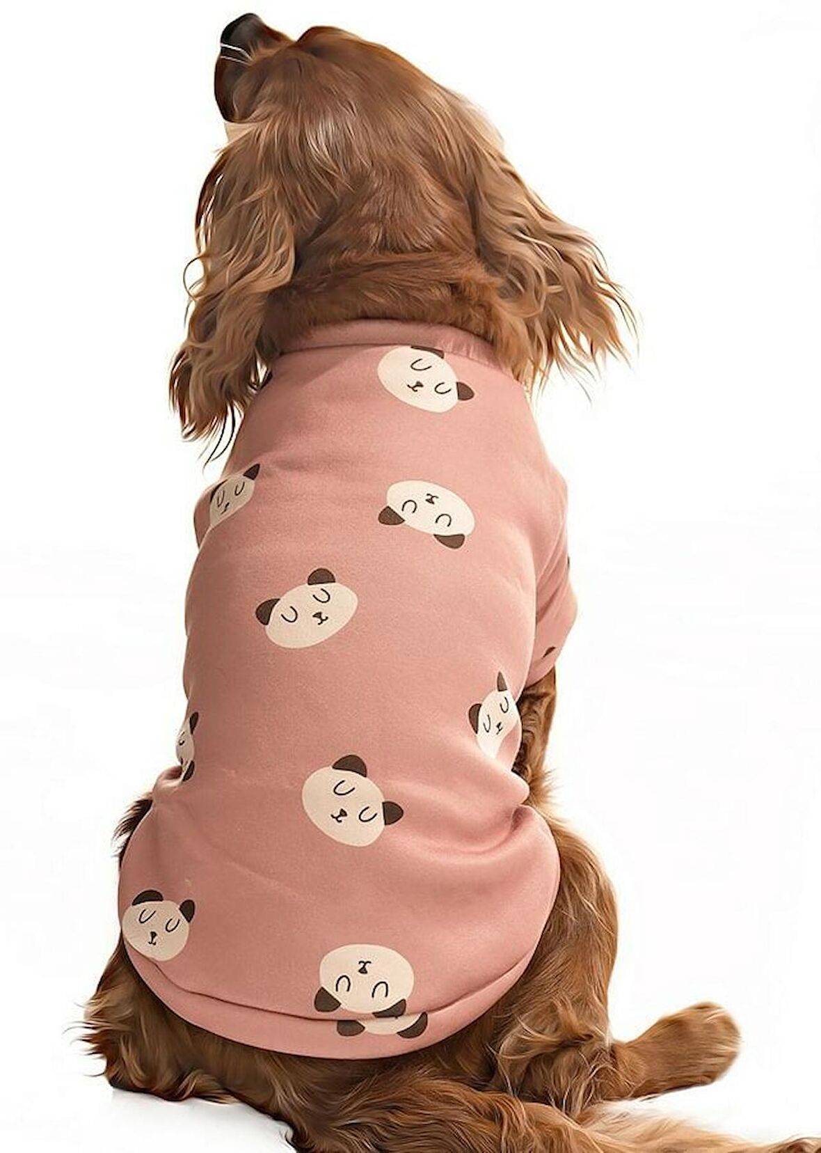 Küçük ve Orta Irk Köpek  Sweater - Mono