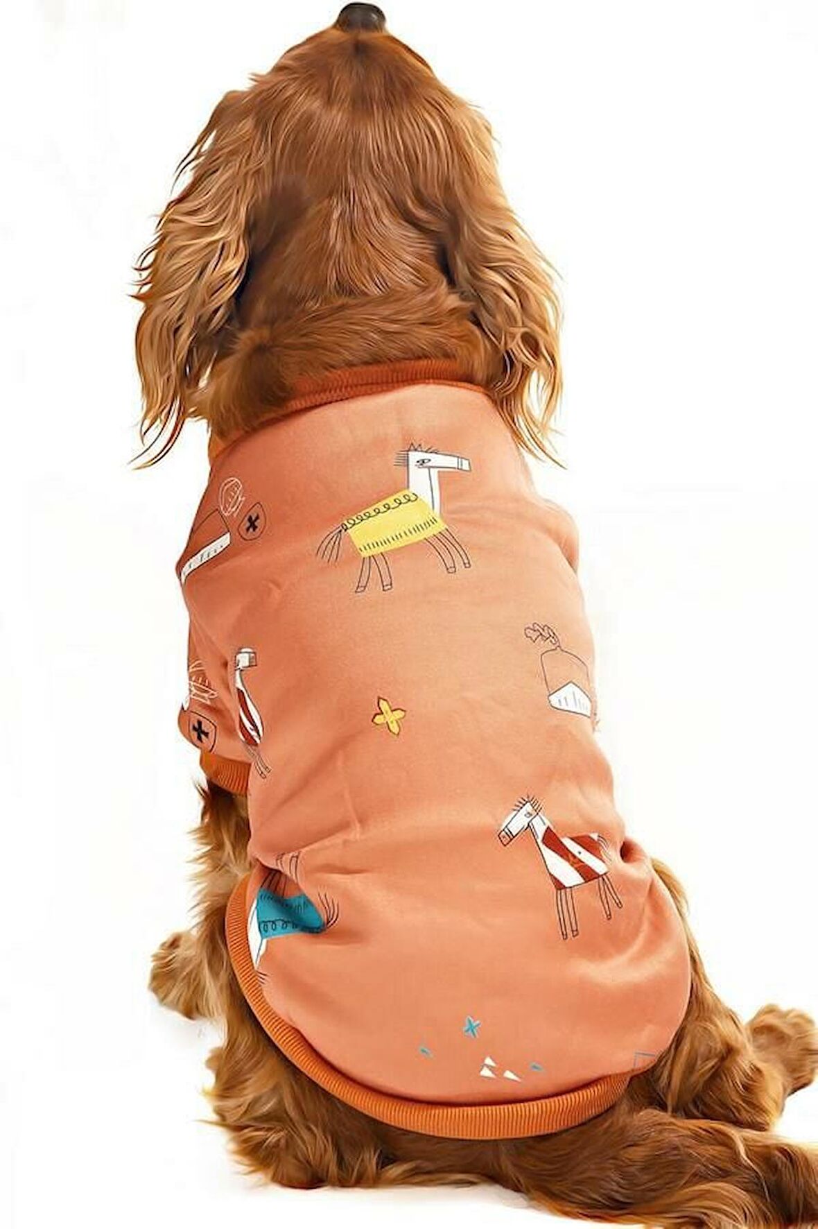 Küçük ve Orta Irk Köpek Sweater - Matru