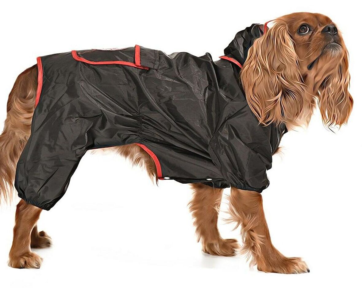 Küçük ve Orta Irk Köpek Paçalı Yağmurluk - Puka Siyah