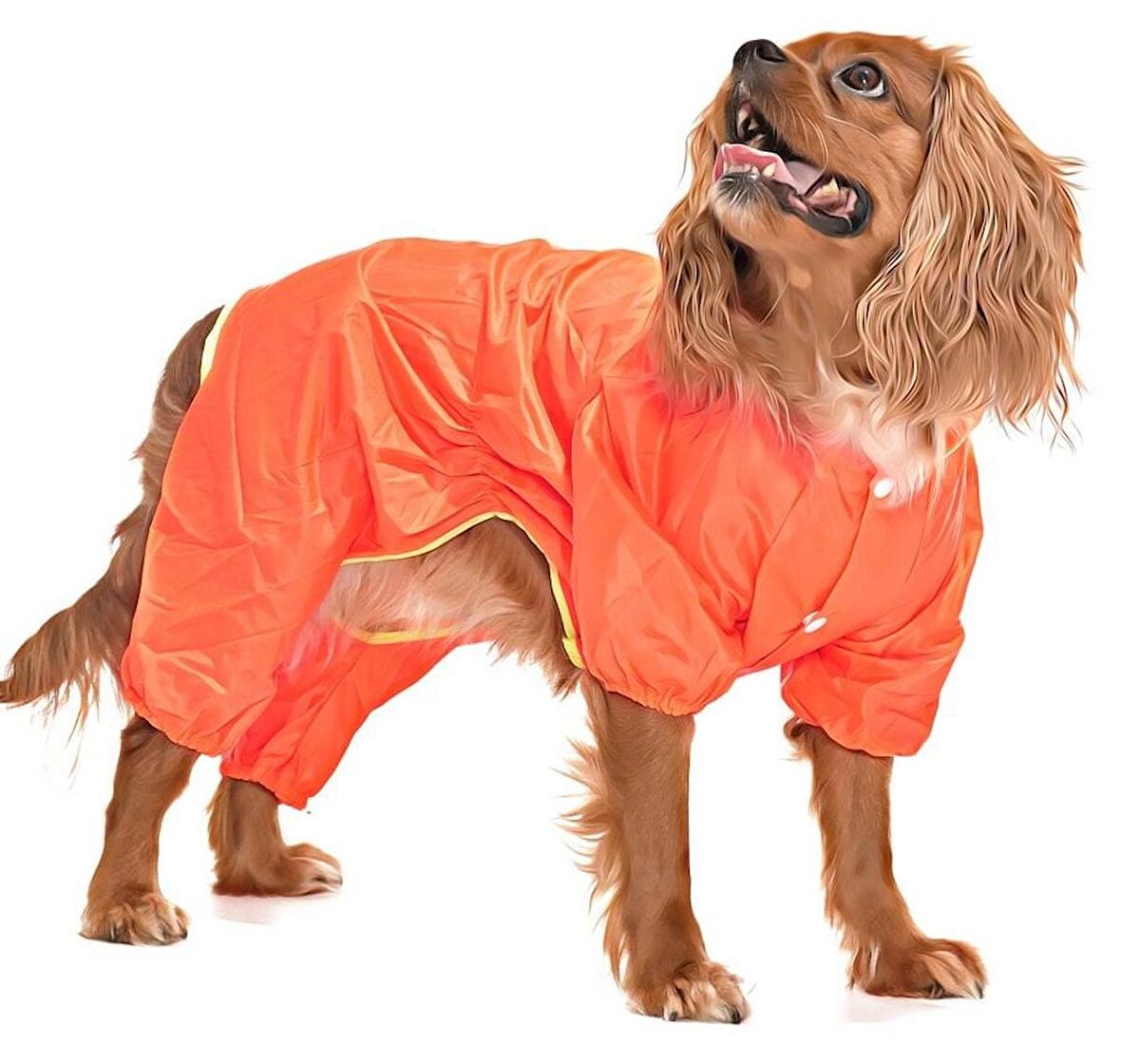 Küçük ve Orta Irk Köpek Paçalı Yağmurluk - Puka Turuncu