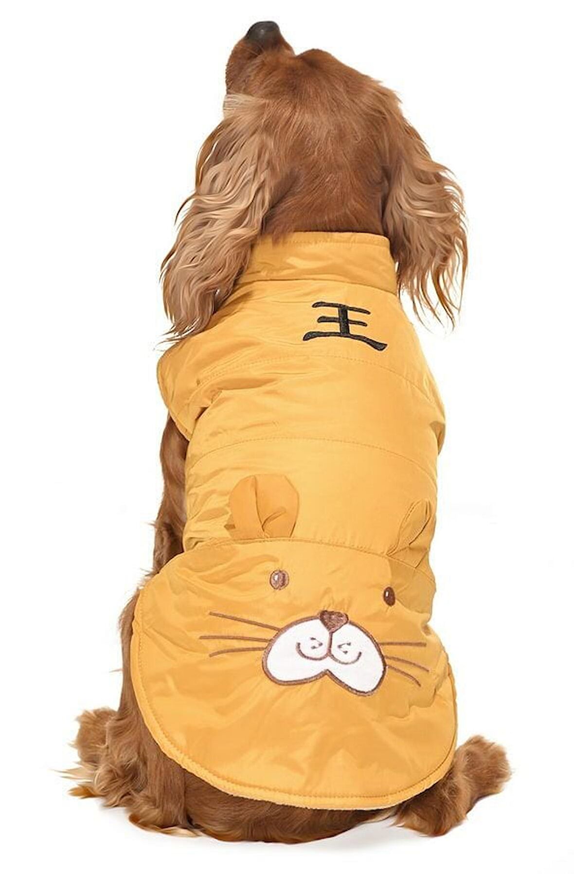 Küçük ve Orta Irk Köpek  Mont - Nerpa