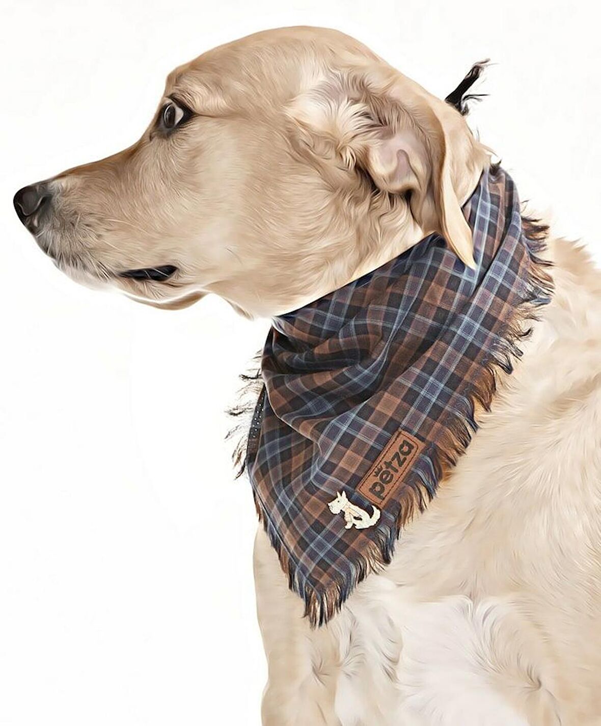Köpek Bandana / Folle