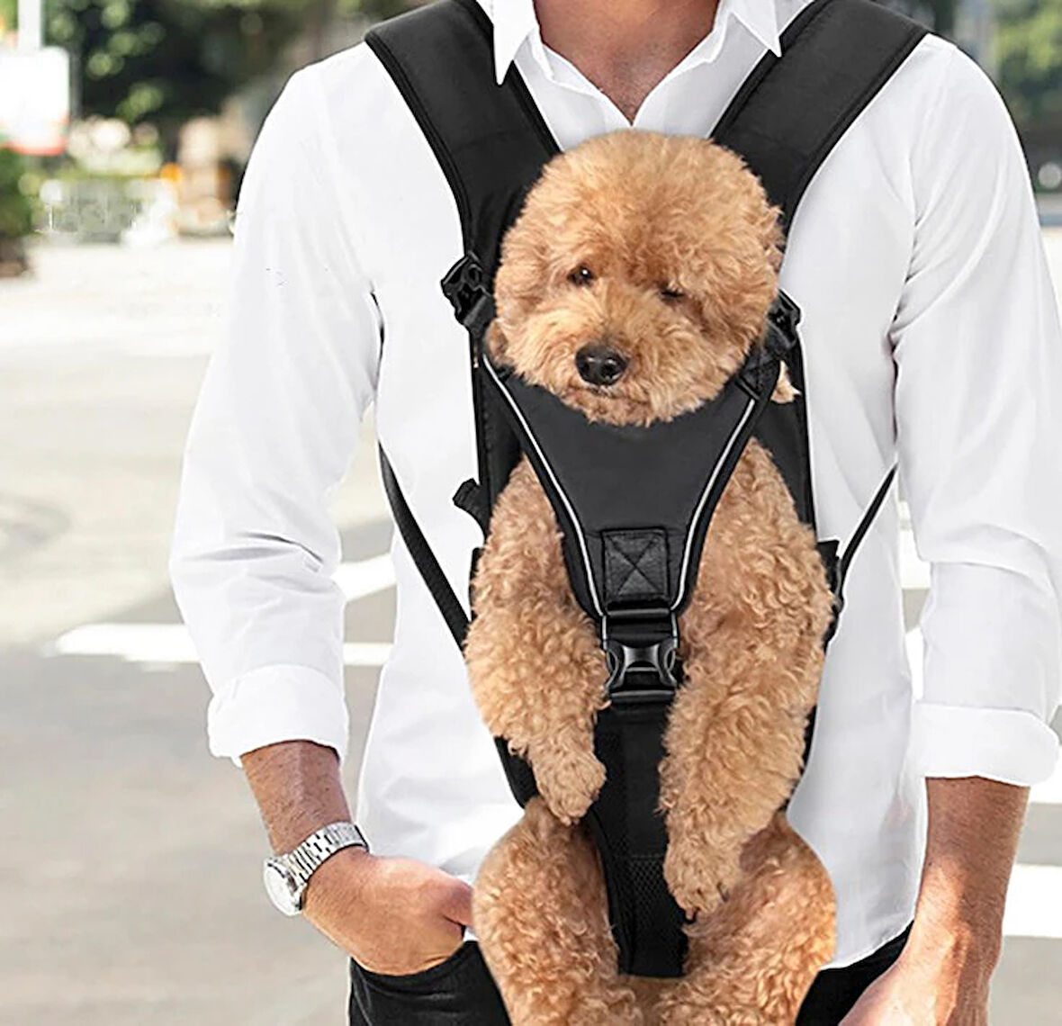 Köpek Taşıma Köpek Ana Kucağı - Kedi Ana Kucağı Mato Siyah