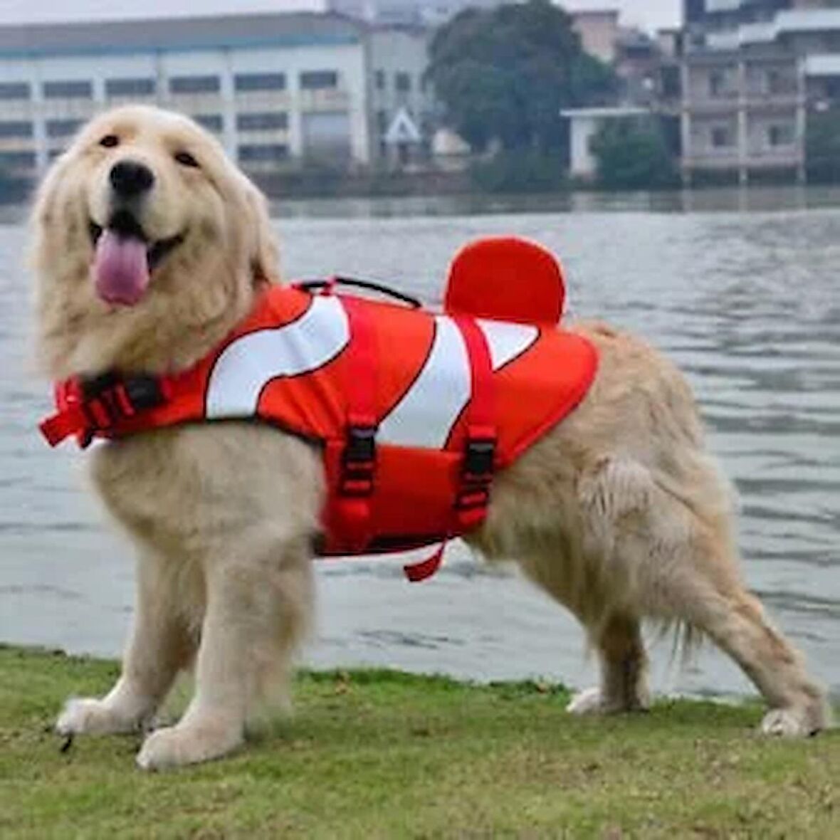 Köpek Can Yeleği Flipper