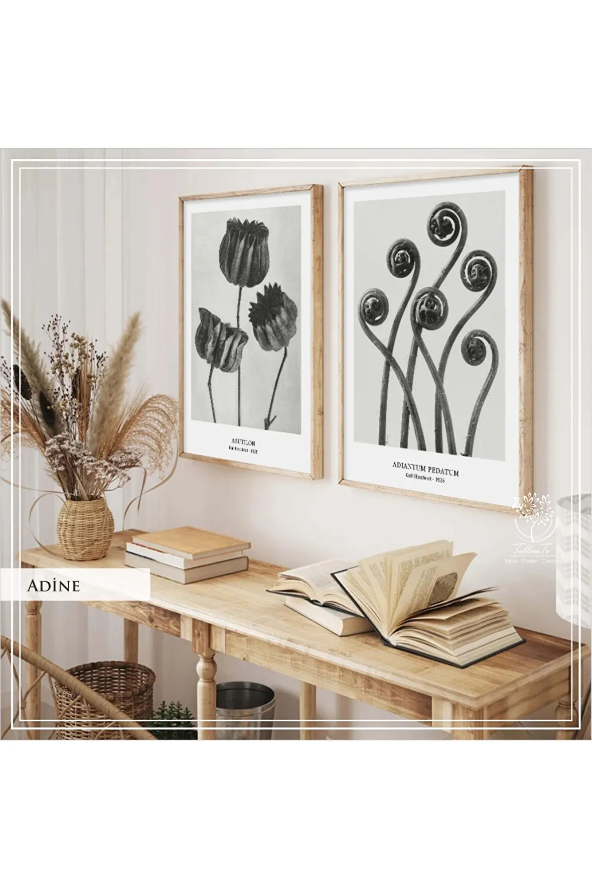 Metal Çerçeveli Gerçek Camlı Tablo AdineA 2 liSet
