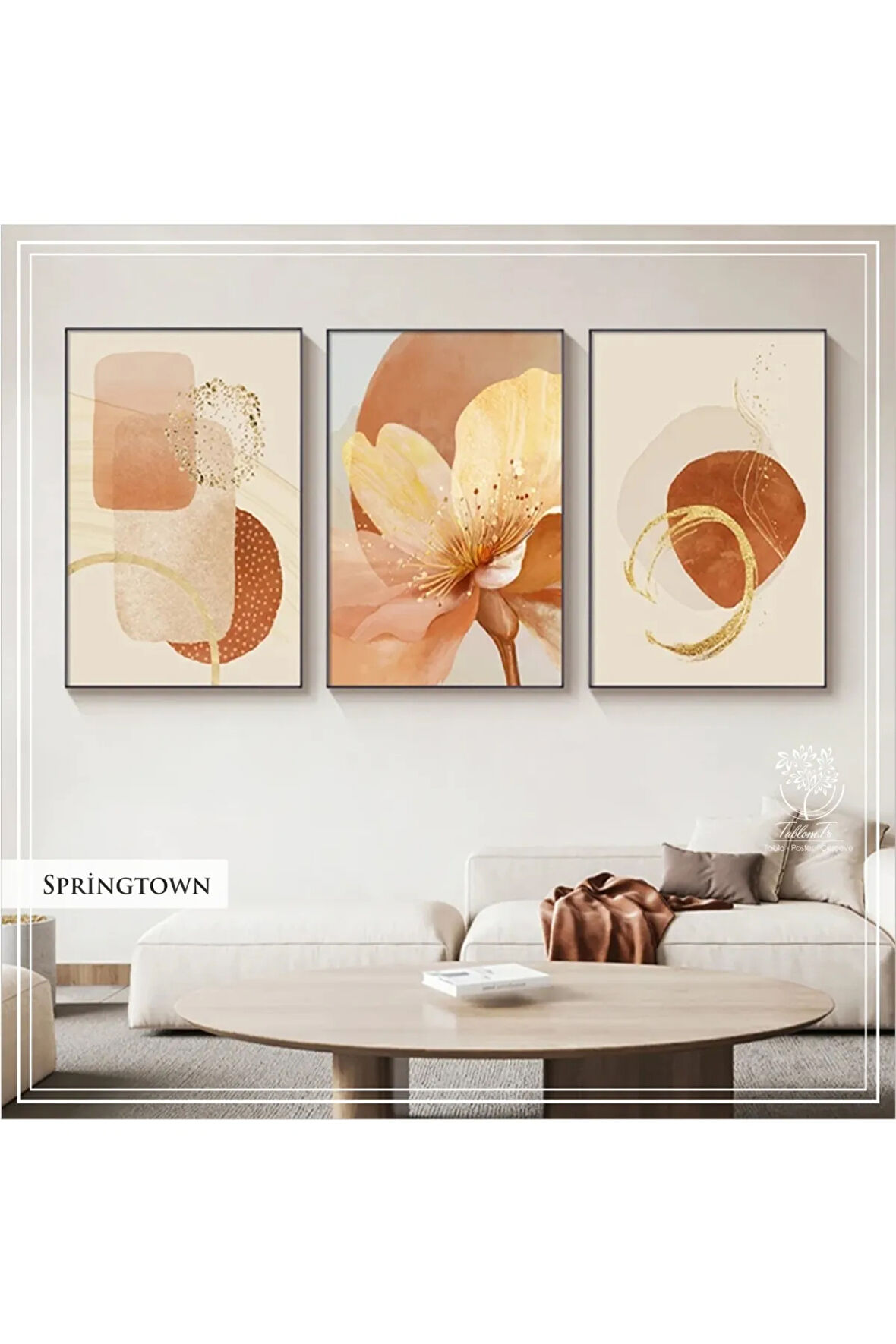 Metal Çerçeveli Gerçek Camlı Tablo SpringtownB 3 Lü Set