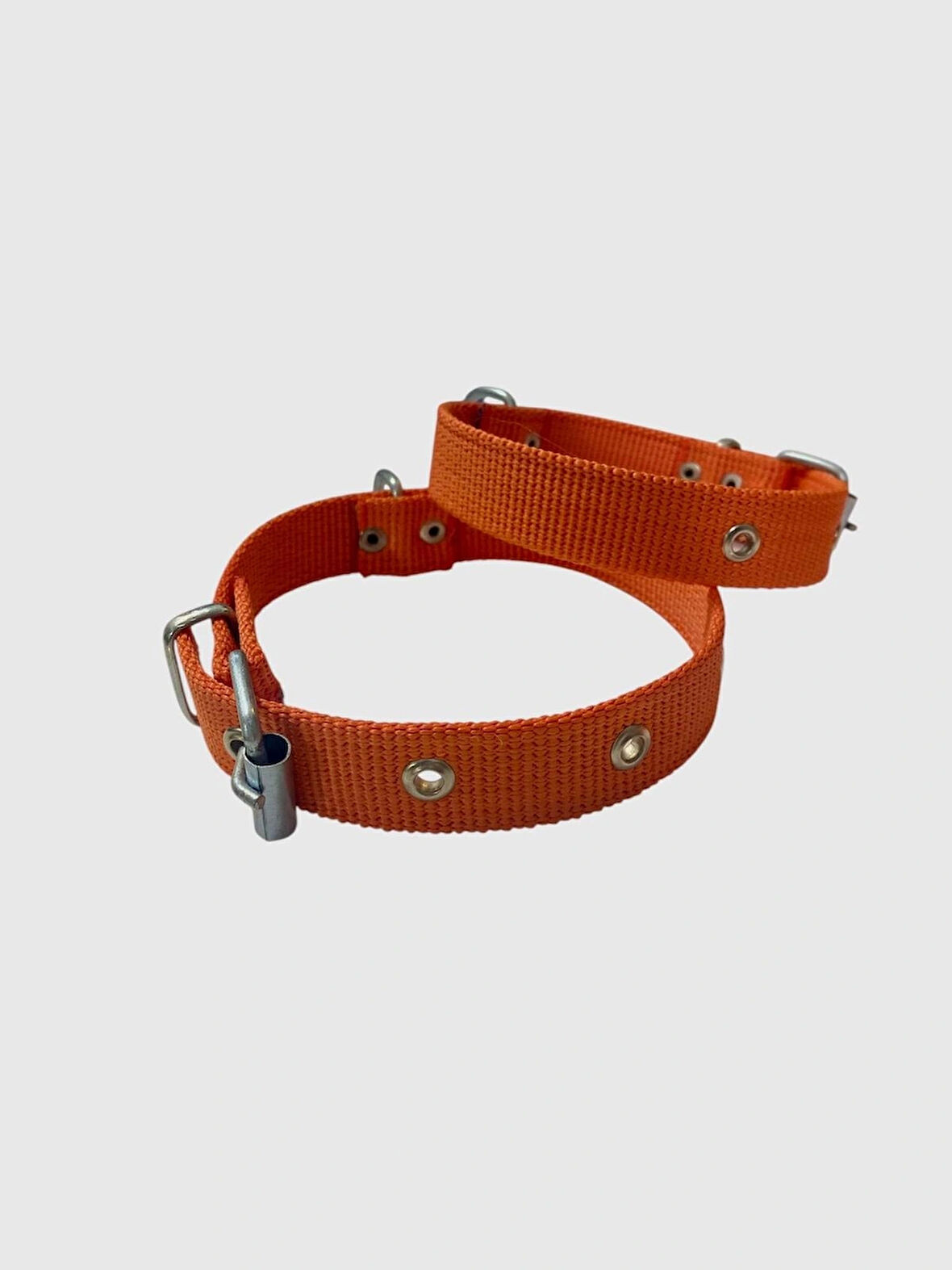 Küçük Boy Yavru Köpekler İçin Tasma 