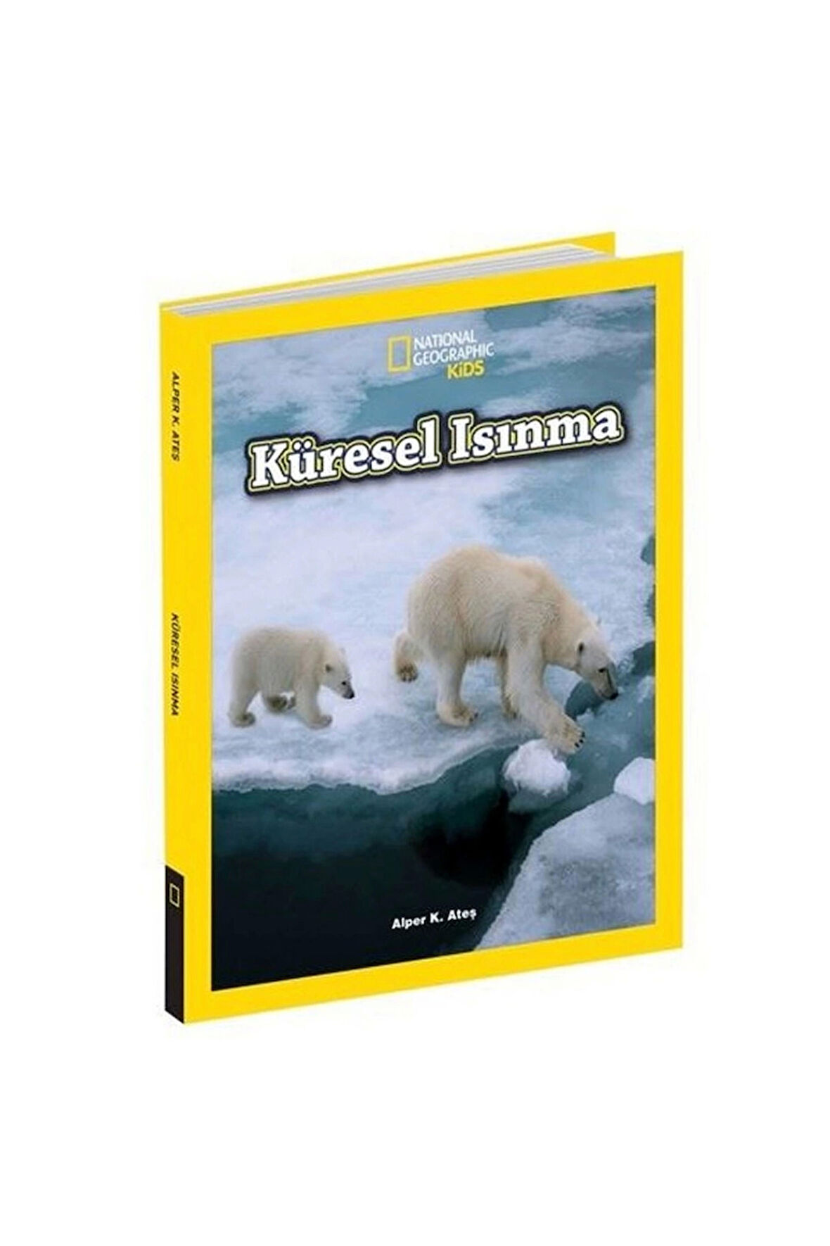 Kız Erkek Çocuk Oyuncak Kids Küresel Isınma Kız Erkek Çocuk Oyuncak Eğitici Oyuncaklar