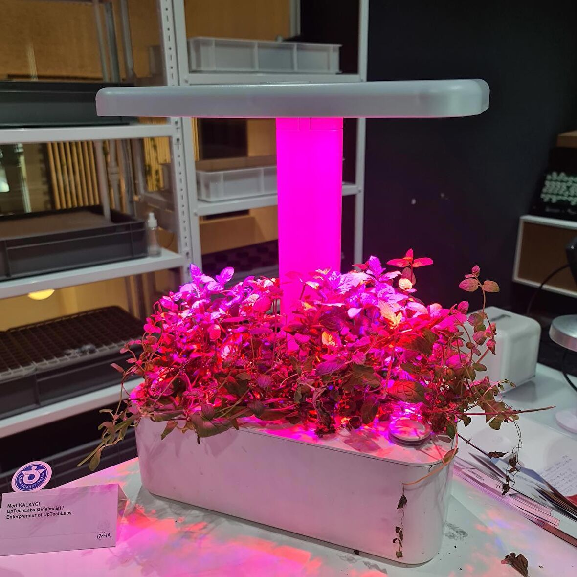 UPTECHLABS: U-Herb Smart Garden, Grow Light, Akıllı Bahçe, Hidroponik, Bitki Yetiştirme Sistemi