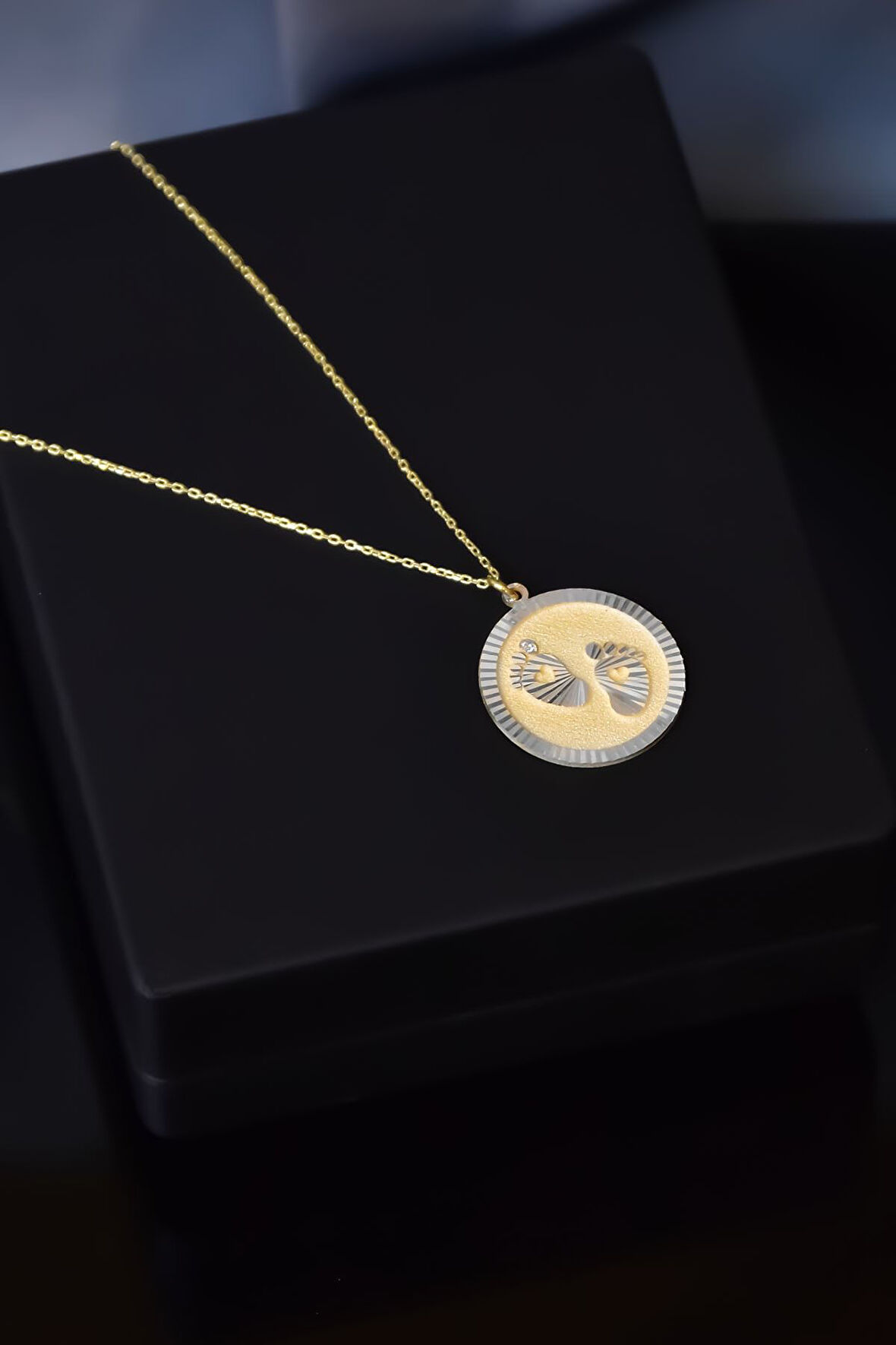 925 Ayar Gümüş Gold-rodyum Kaplama Kalemli Zirkon Taşlı Plaka Bebek Ayak Izi Kolye