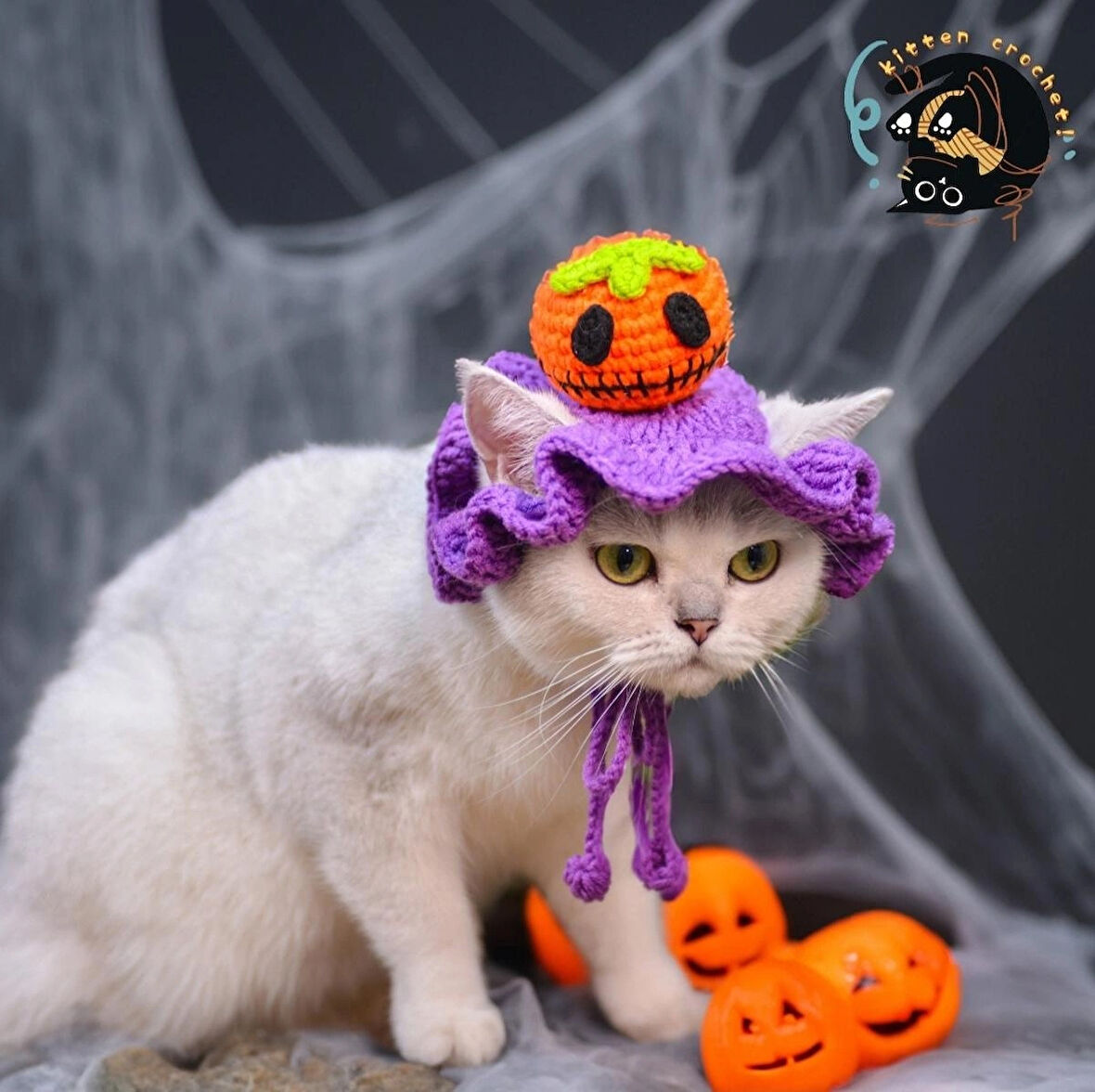 Halloween kedi beresi şapka aksesuar Noel hediyesi 