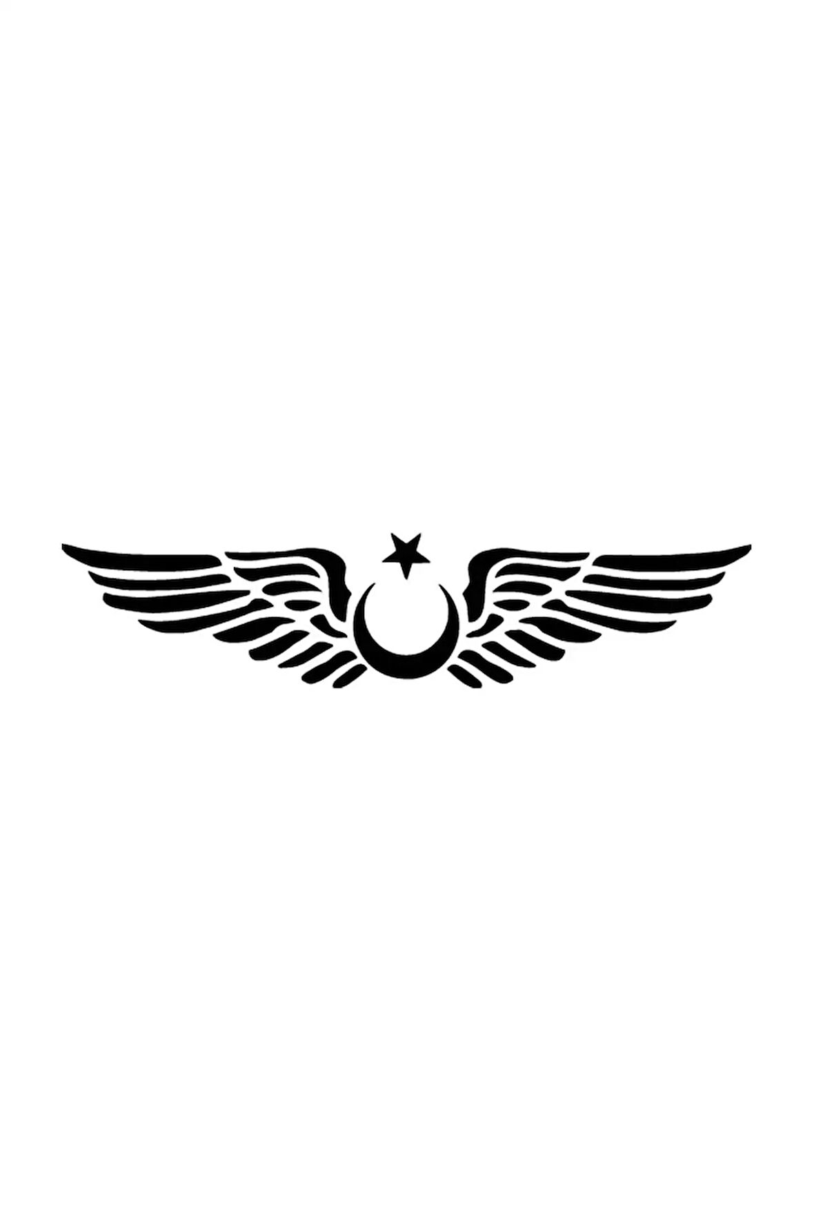 Kanatlı Ay Yıldız Sticker (Oto-Motor-Laptop-Duvar-Dekor) 30 x 6 cm