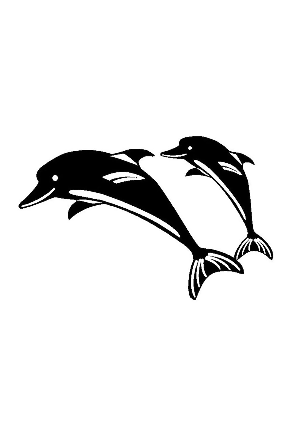 Yunus Balığı Ailesi Oto Motor Laptop Duvar Folyo Sticker 15x9 Cm