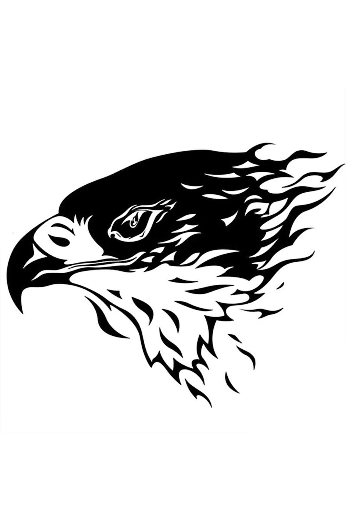 Siyah Kartal Oto Motor Laptop Duvar Folyo Sticker 80 x 56