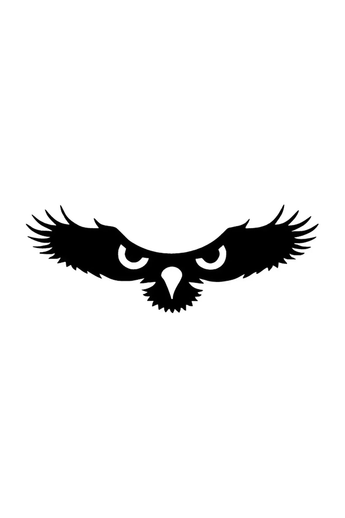 Kartalın Gözleri Sticker Oto Motor Laptop Duvar Folyo Sticker 10x4 cm