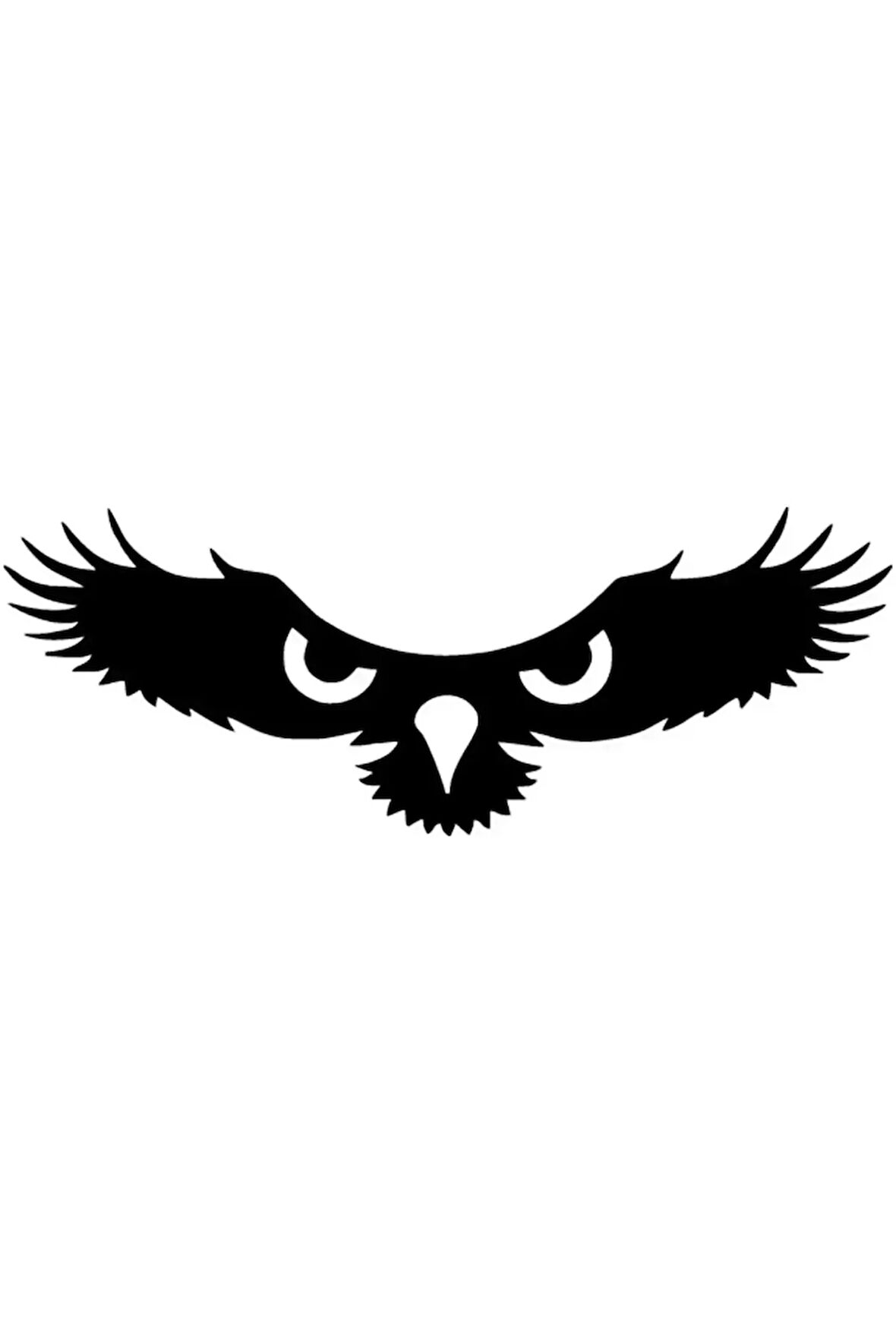 Kartalın Gözleri Sticker 40 X 16 Cm