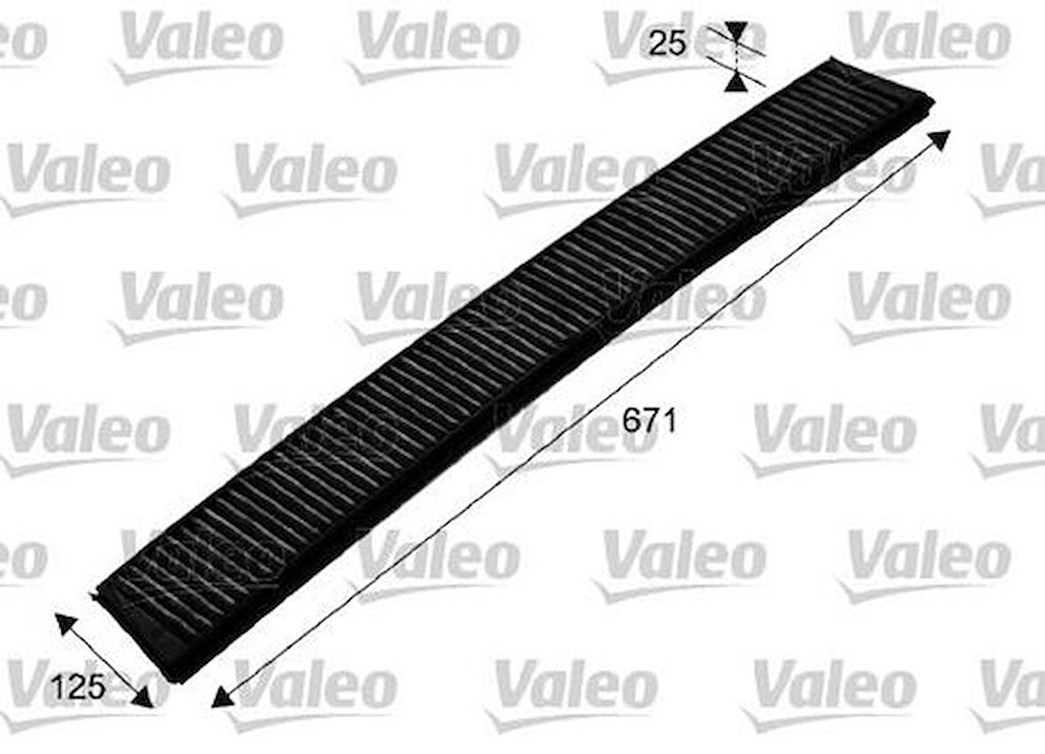 Valeo 698750 Polen Filtresi BMW E46 E83 Karbonlu 64311000004