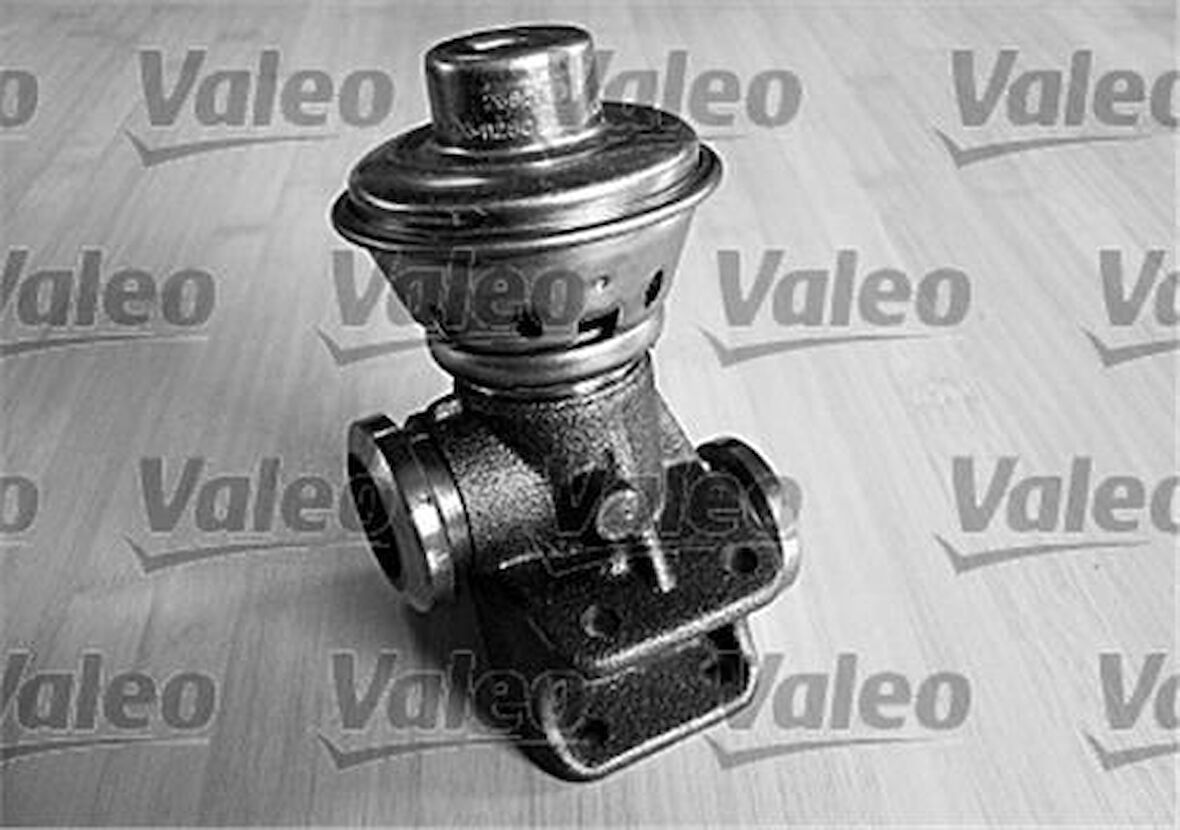 Valeo 700406 EGR Valfi Jumper II Ducato II Boxer II 2.2HDI 2.0HDI 03 06 1628.WV