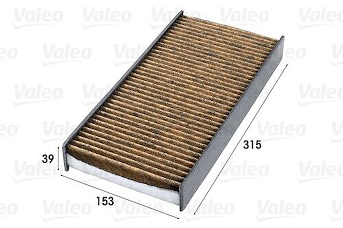 Valeo 701002 Polen Filtresi P407 C5 II C6 04 04-Polıfenollu 6441EJ