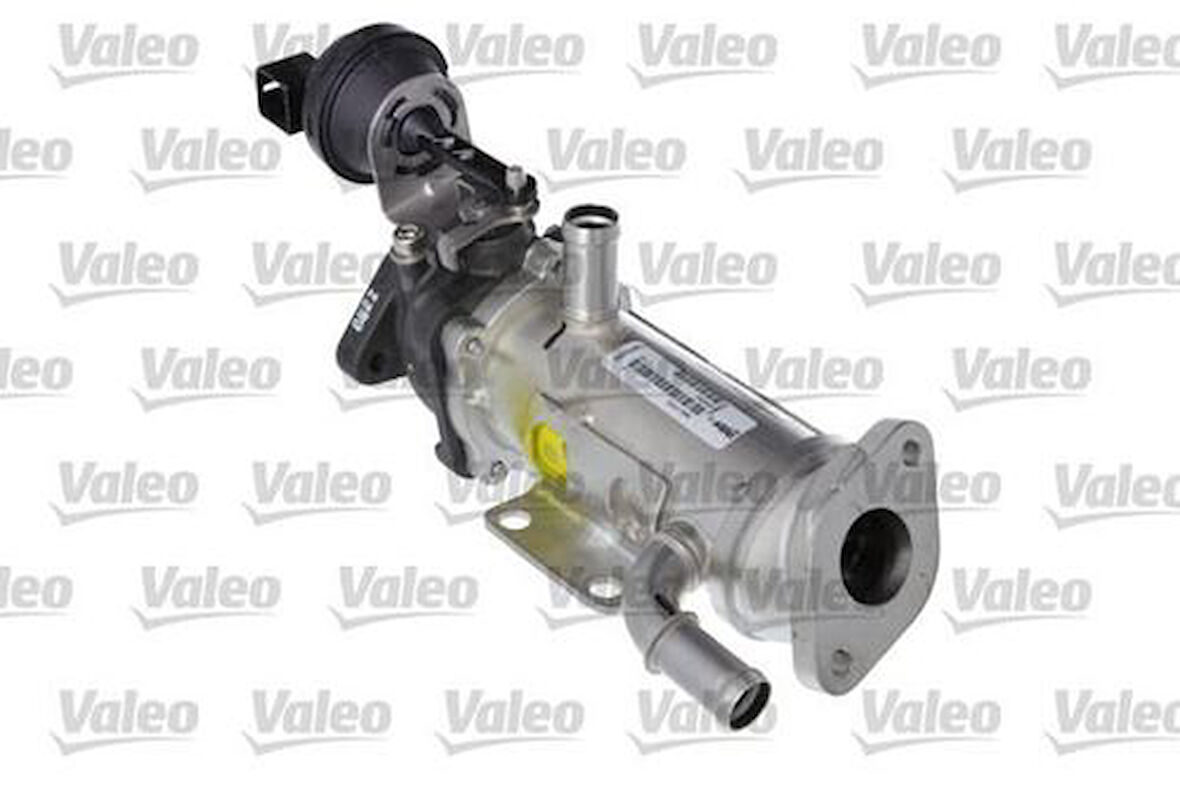 Valeo 818791 EGR Valfi M9R 2.0 DCI Megane II Scenic II Trafic II 8200968414