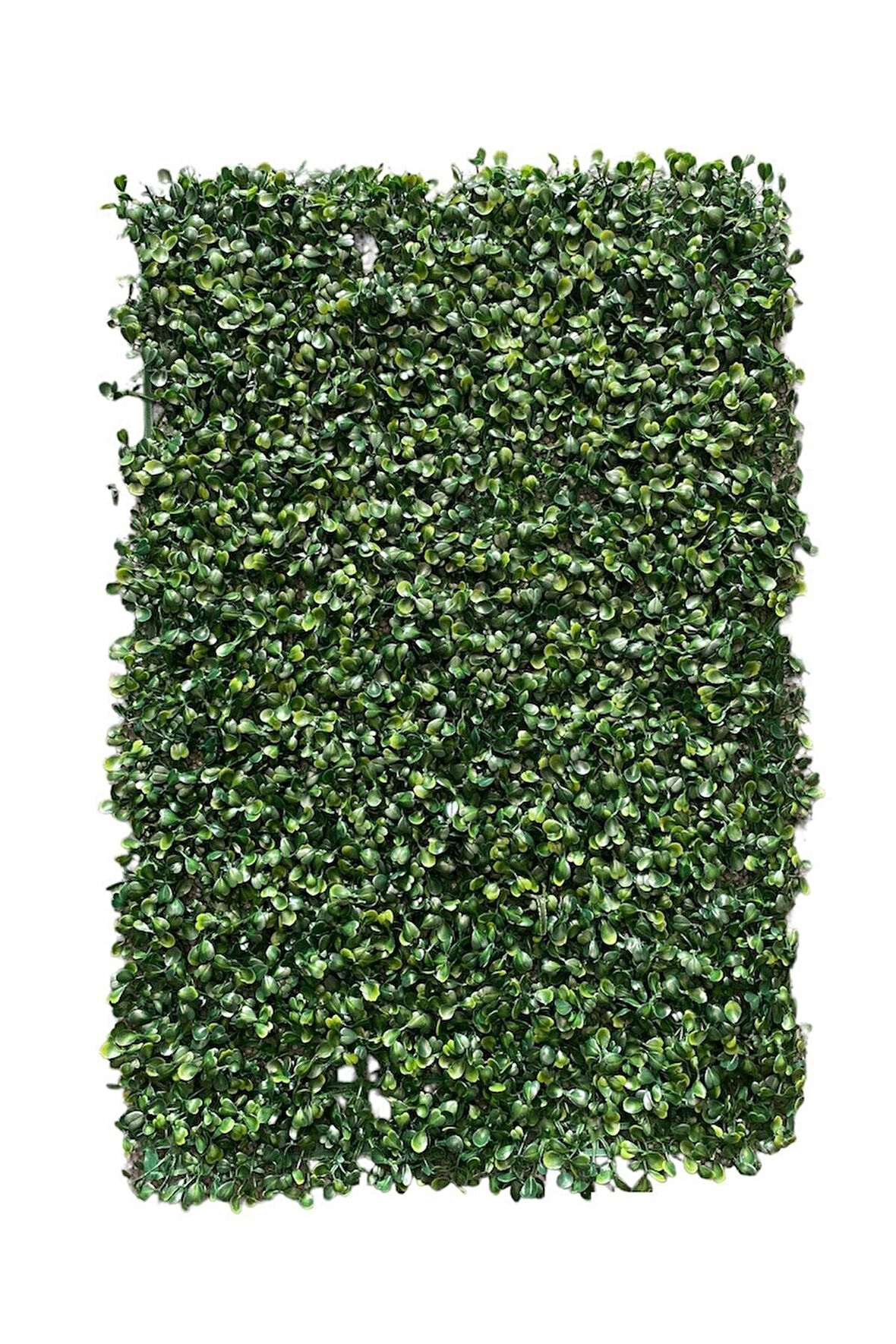 Ve-al Dekoratif Yapay Bitki Duvar Kaplama Panel Şimşir Tabaka 40x60 Cm Yeşil Dikey Bahçe