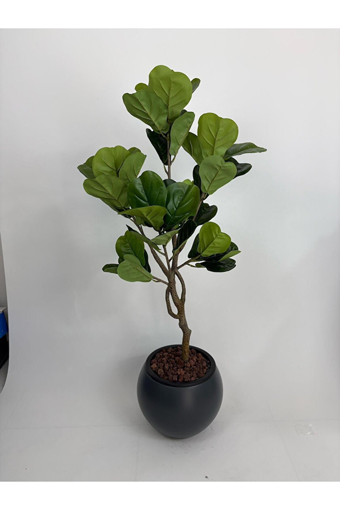 145 CM YAPAY KAUÇUK AĞACI