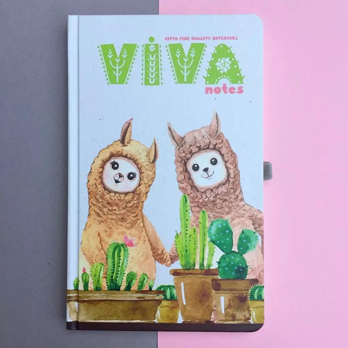 Viva Notes Sert Kapak 120 Yaprak Çizgili Defter 13x21