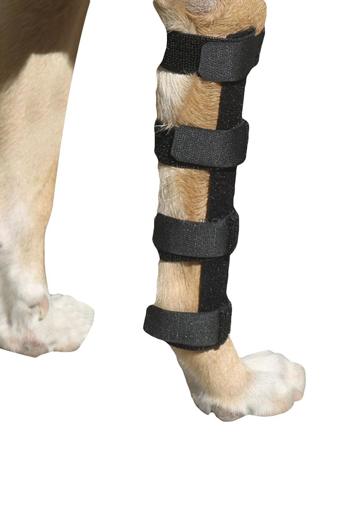 Bandajlı Düz Atel - 5 Numara (20 cm)