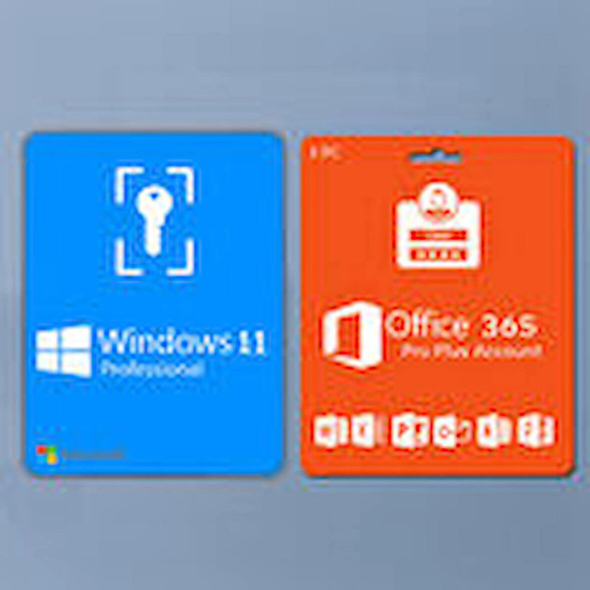 Windows 11 Pro ve Office 365 Pro Plus 32-64 Bit Türkçe Destekli