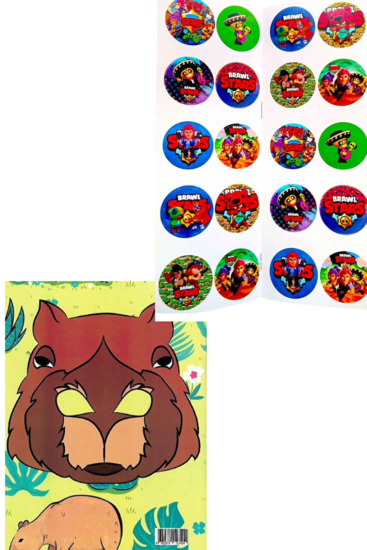 4'lü Brawll Stars Karakter Labubu  Capibara Buluey Boyama kitabı seti(boyama, sticker, arka kapak mask