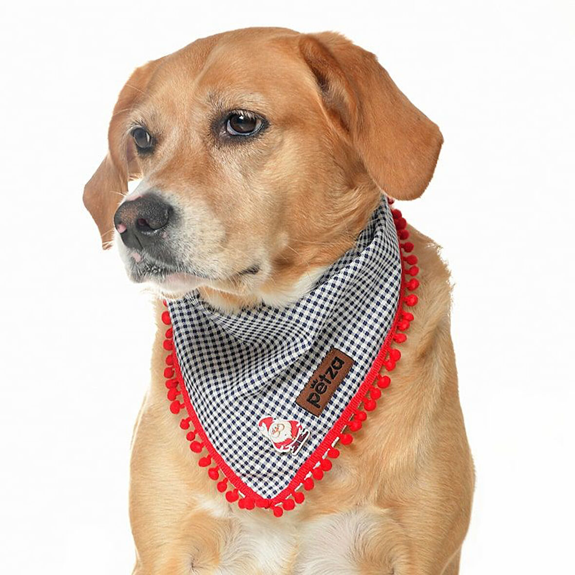 Köpek Bandana / Disa Medium