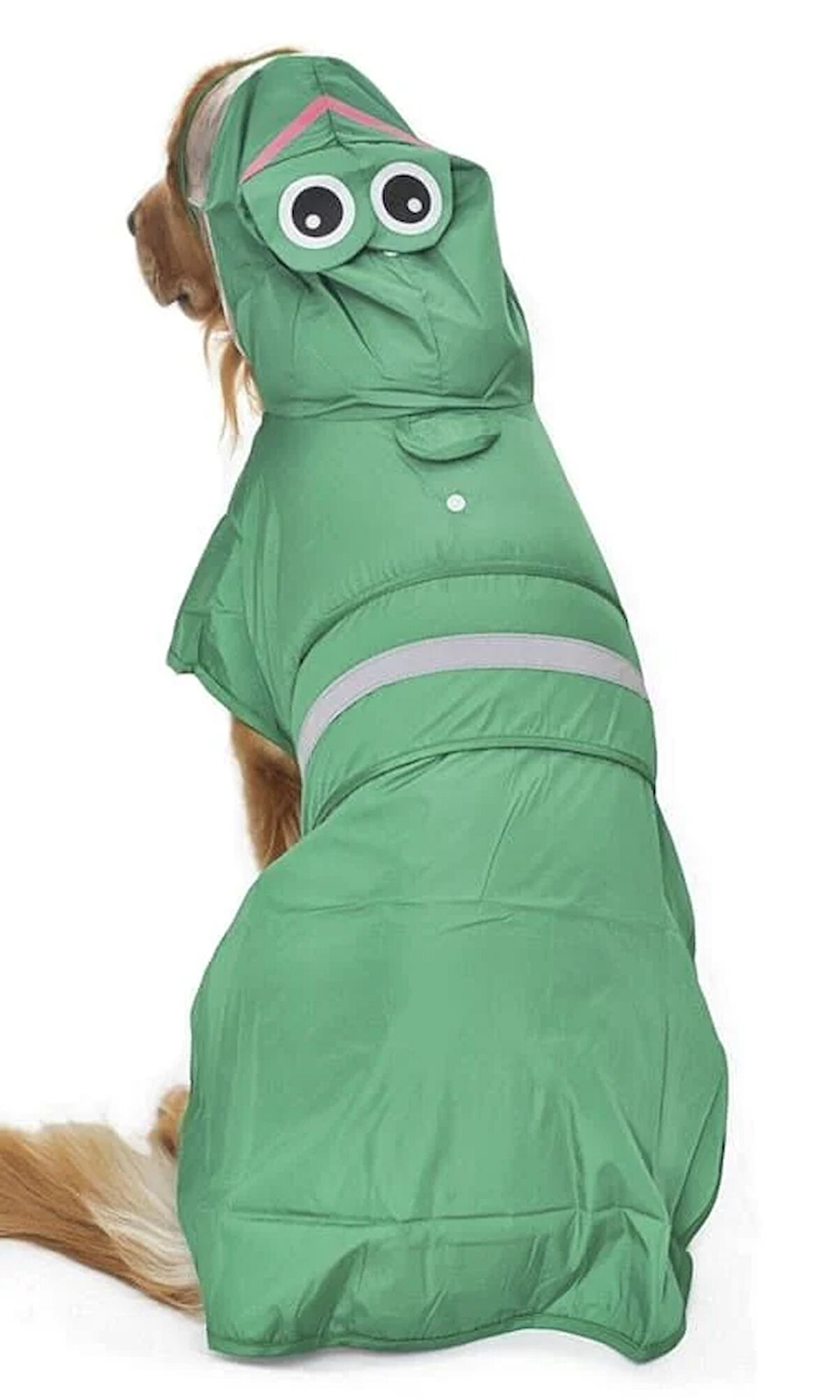 Köpek Küçük ve Orta Irk Yağmurluk Frog