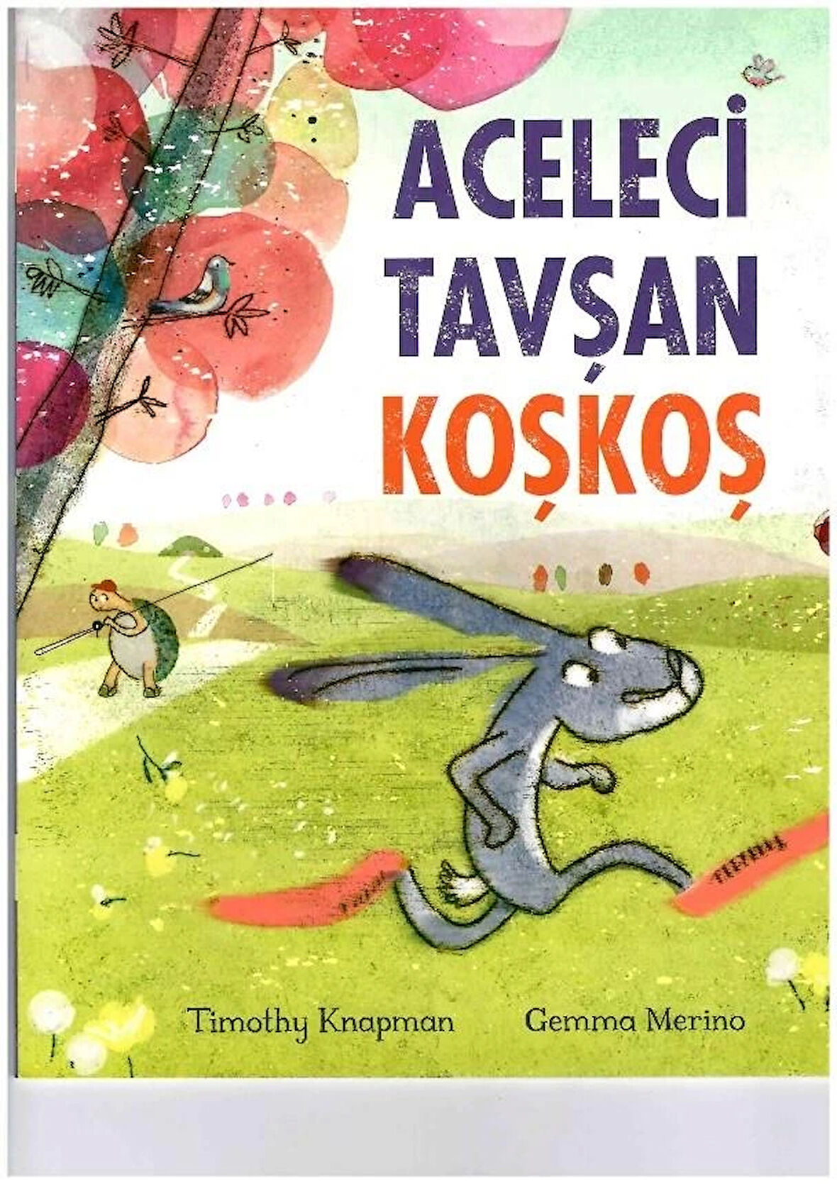 Aceleci Tavşan Koş Koş Eğitici Çocuk Kitabı
