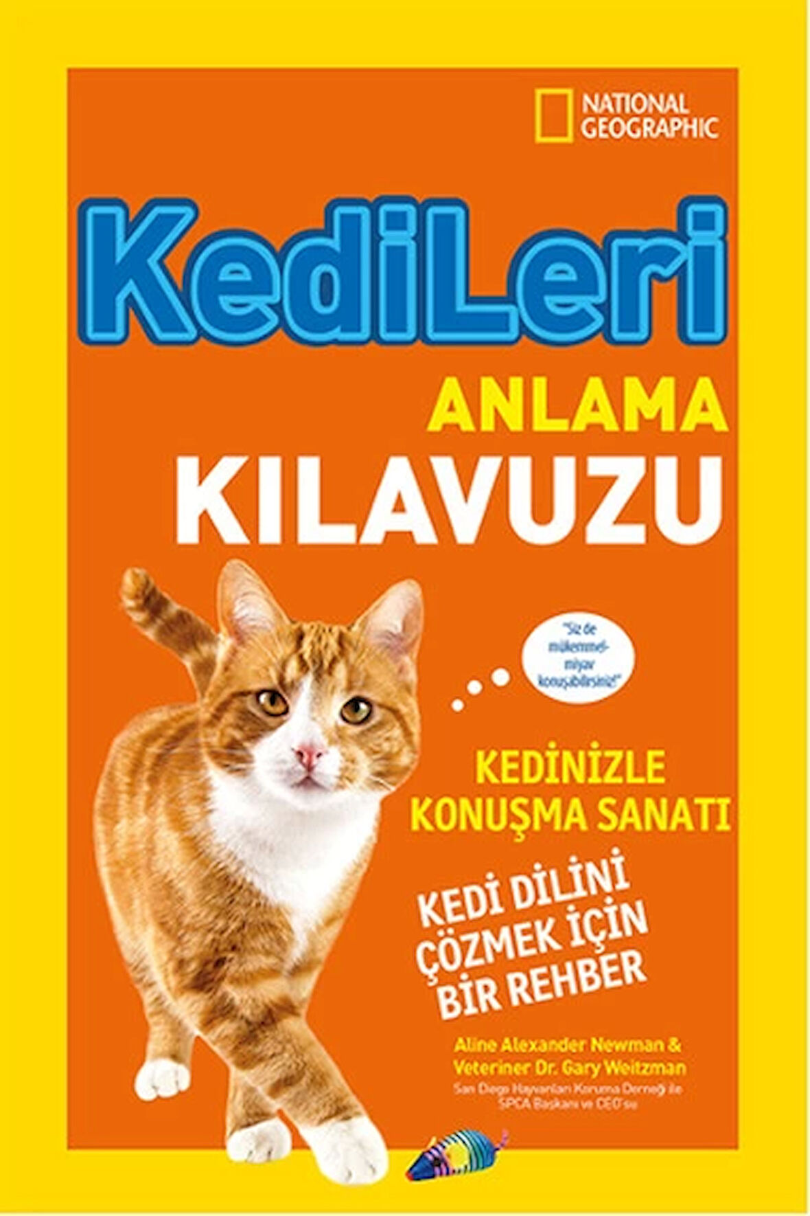 Kids Kedileri Anlama Kılavuzu
