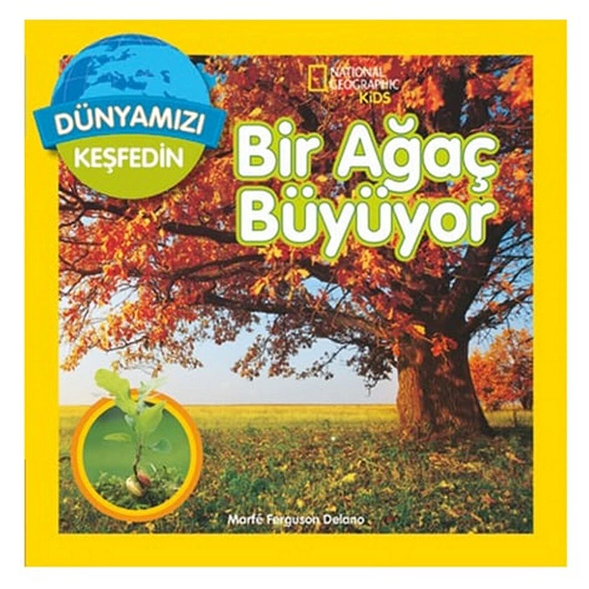 National Geographic Kids Bir Ağaç Büyüyor